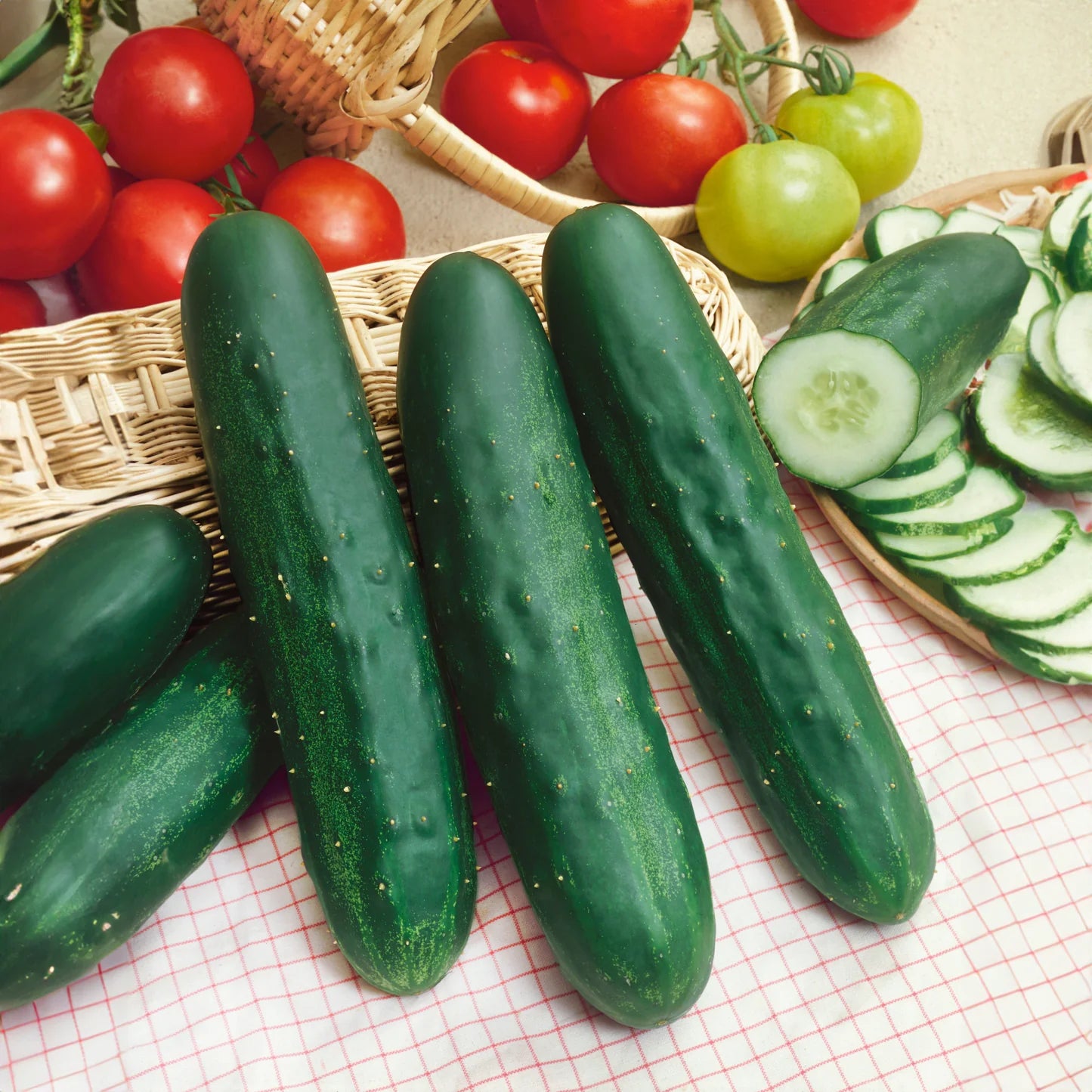 Mature Long Green Improved Cucumber Plant with Crisp Cucumbers from Seeds