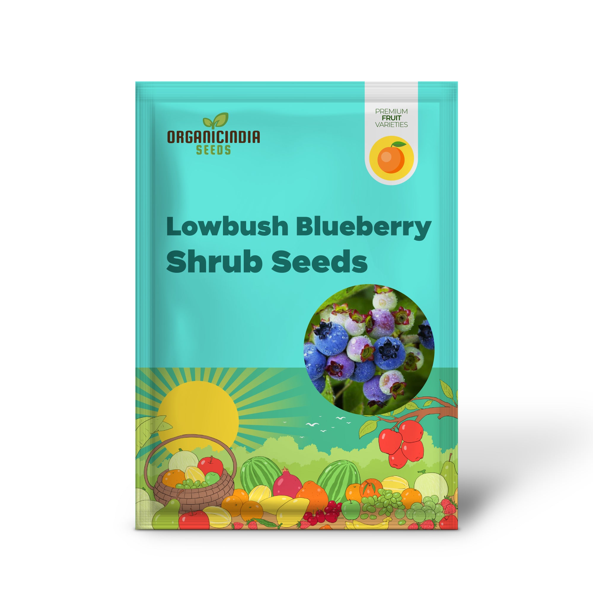 How to Plant Lowbush Blueberry Seeds – Vaccinium angustifolium Growing Instructions