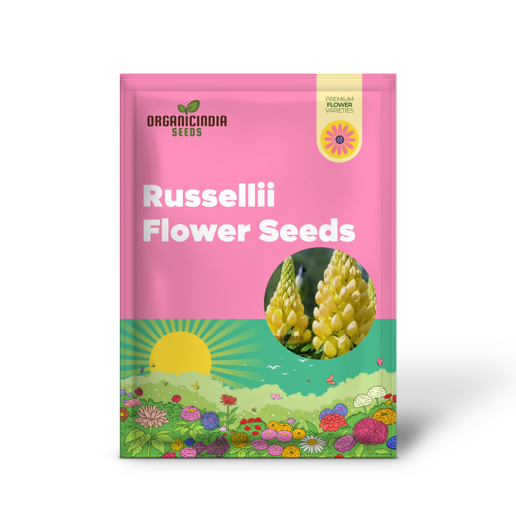 Lupinus x russellii seeds vibrant garden lupine blooms