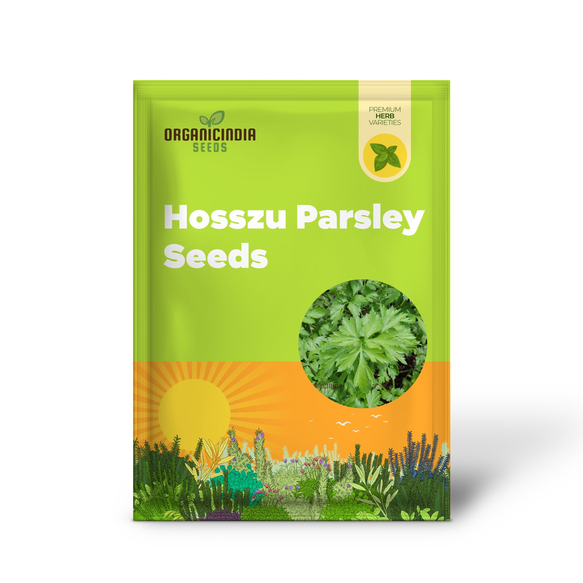 Lush Green Hosszu Parsley Plant Growing in Garden