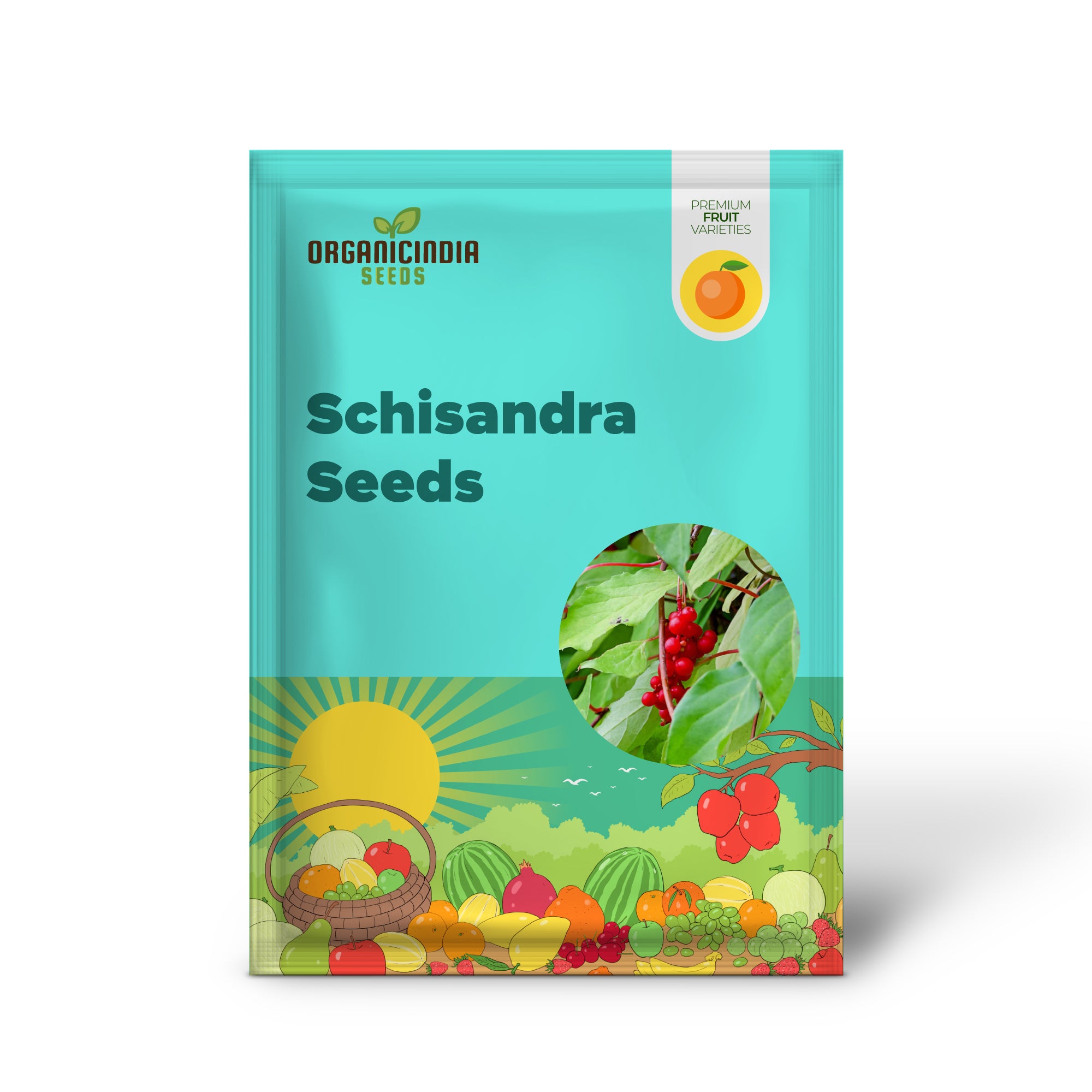 Magnolia berry vine seeds producing aromatic red berries