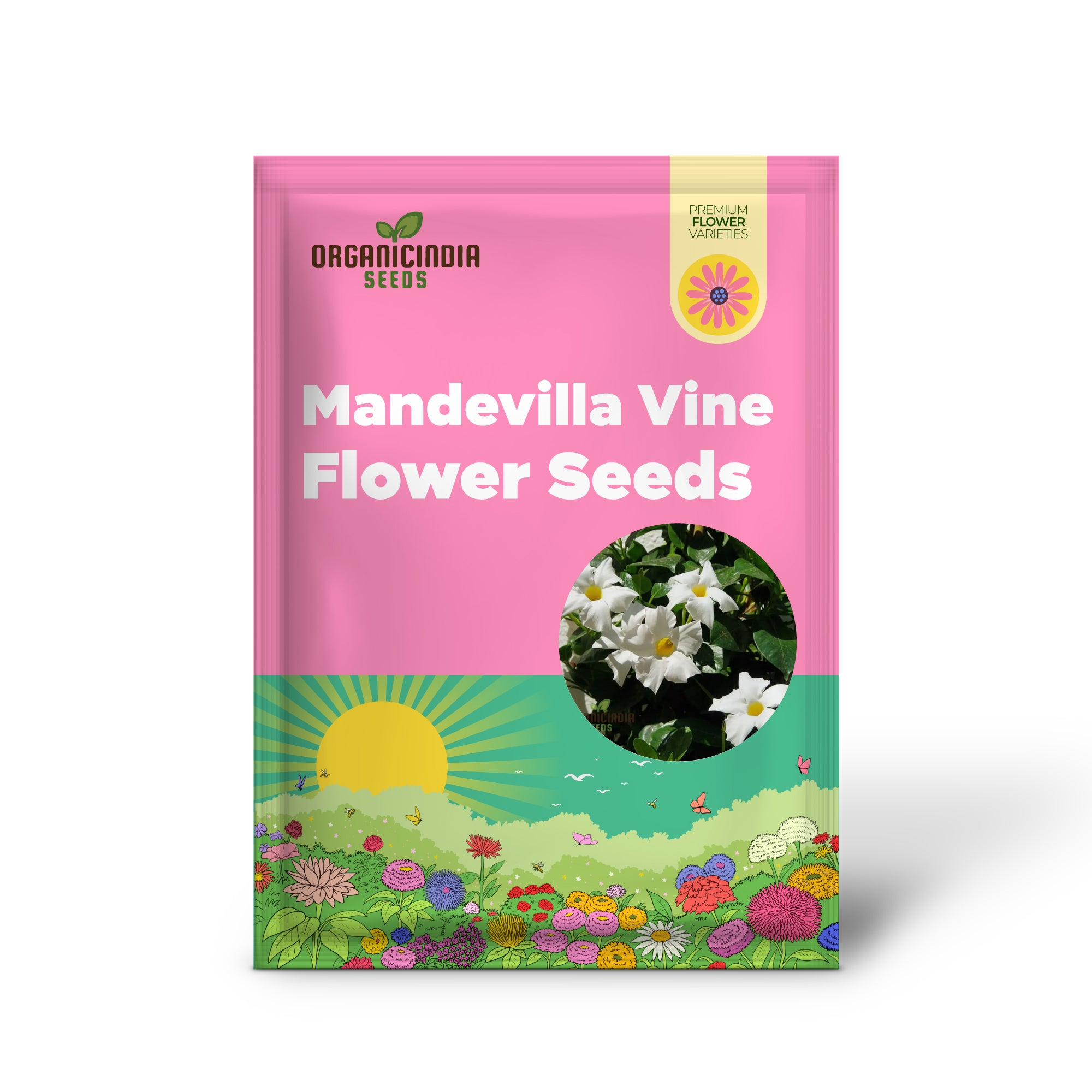White mandevilla flower seeds producing climbing vines