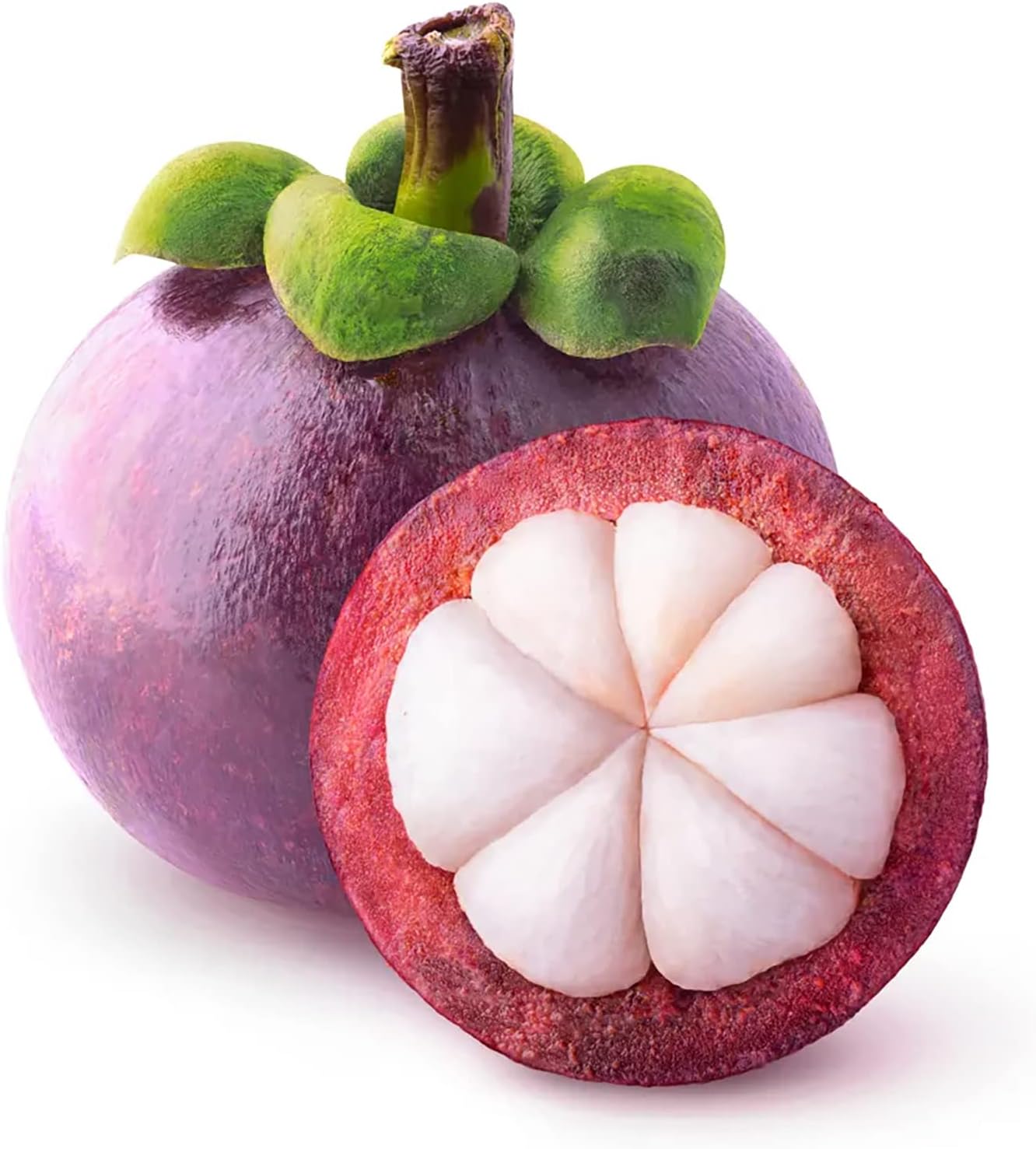 Mangosteen Seeds for Planting and Gardening