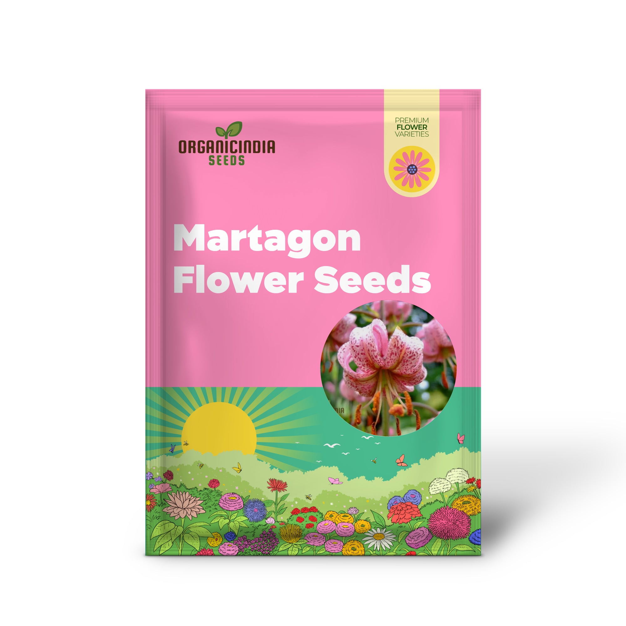 Martagon lily seeds germinating for home gardening