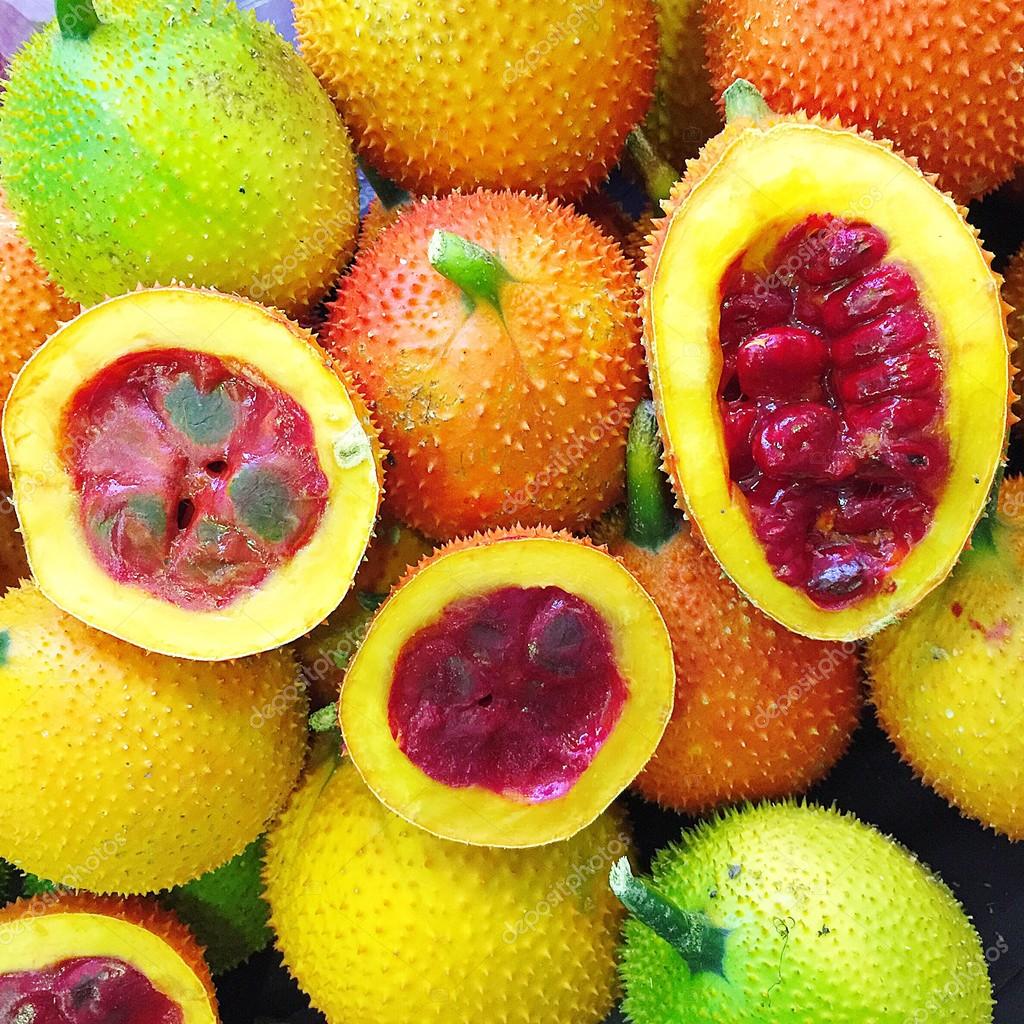 Mature Gac vine with vibrant orange-red tropical fruits