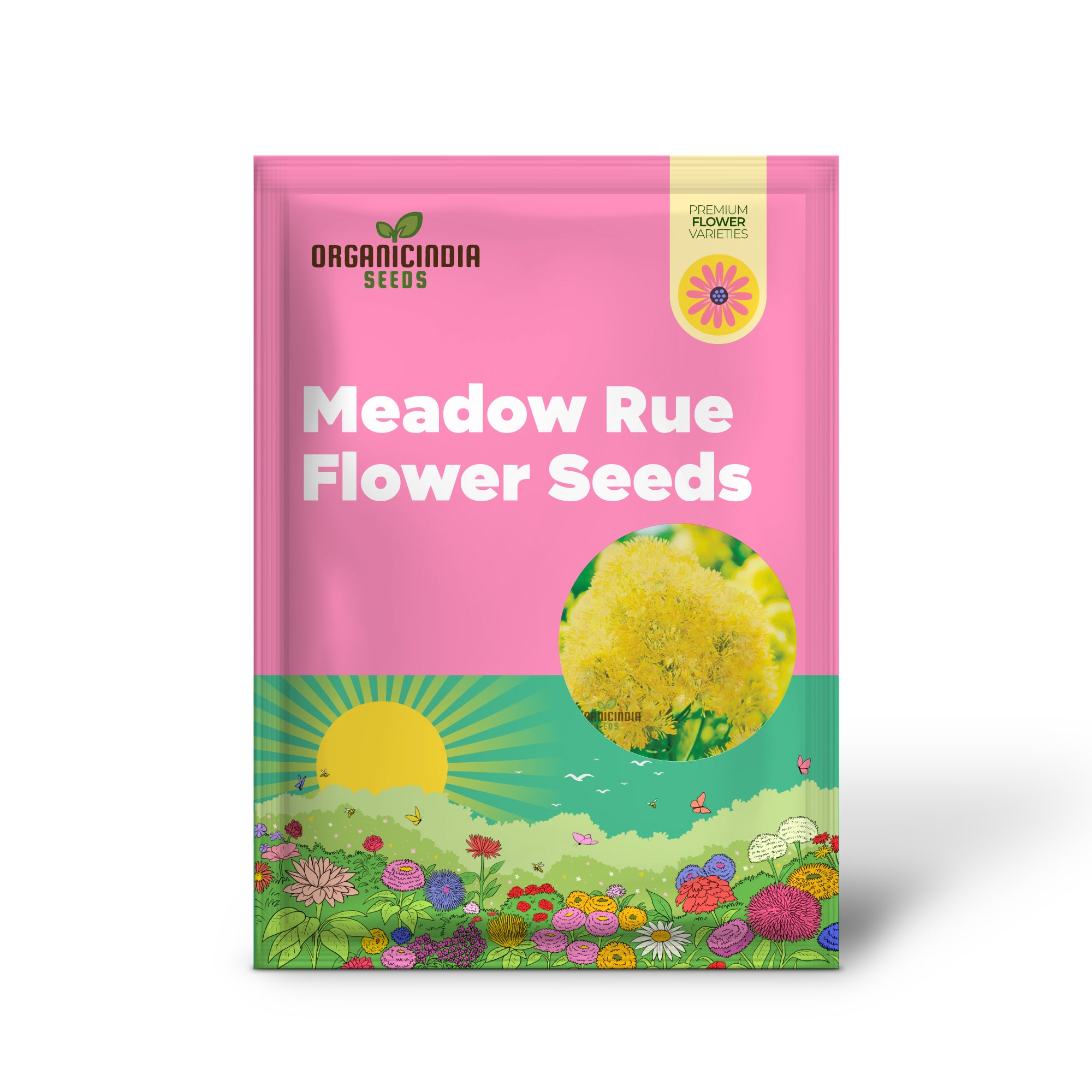 Meadow Rue Seeds Producing Bright Yellow Blooms for Home Garden