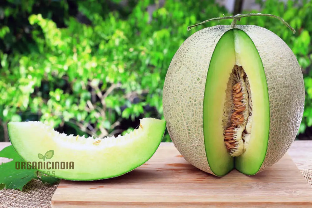 Melon Honeydew Seeds For Your Bountiful Garden: Grow Fresh With Confidence