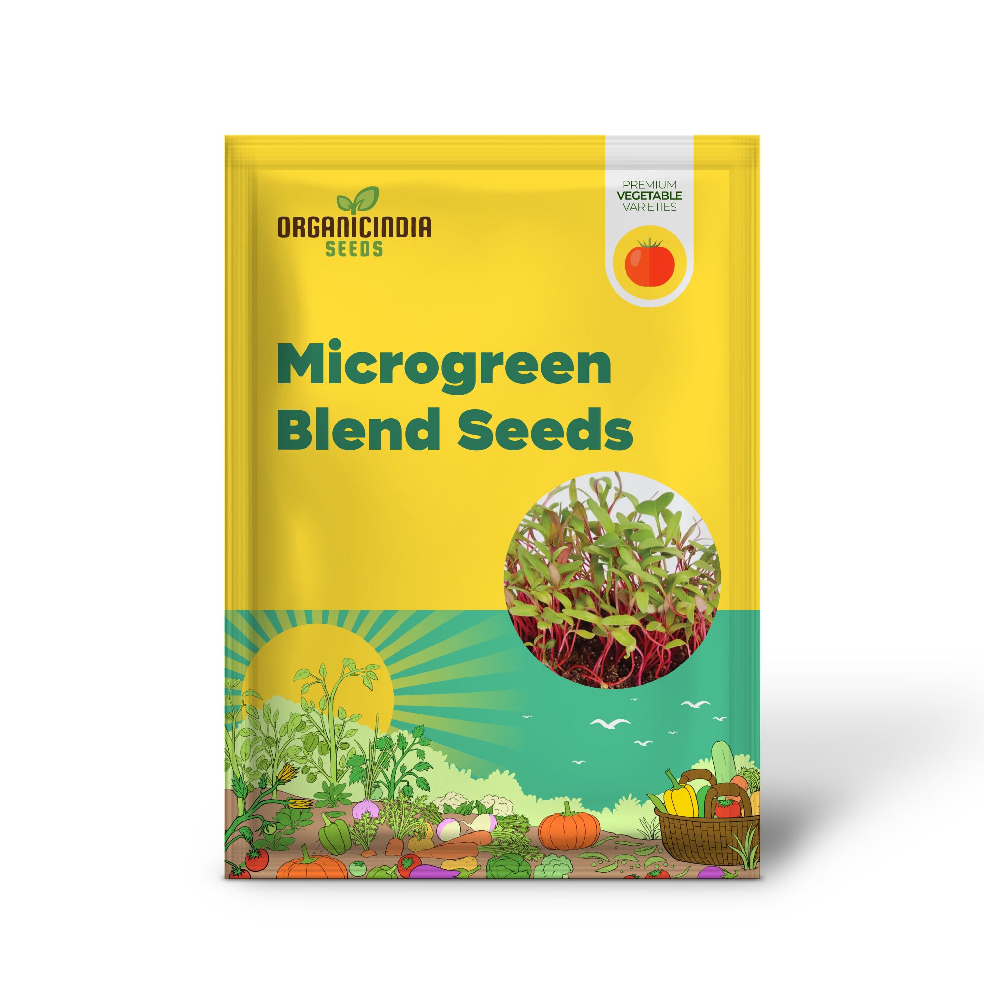Vibrant Microgreens Growing from Rainbow Blend Seeds Indoors