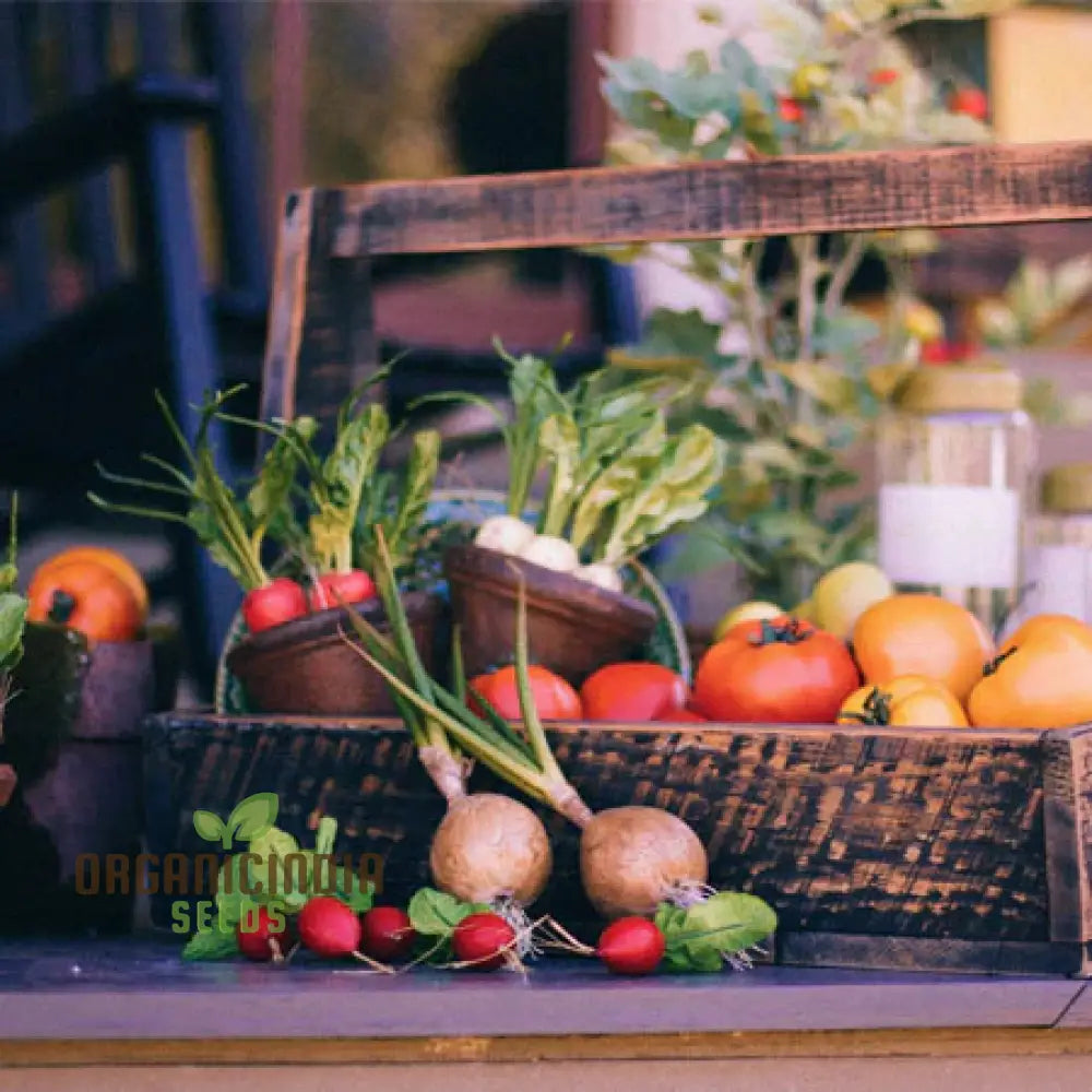 Mini Veg Patch Seeds for Home Gardening, Assorted Vegetable Seed Mix