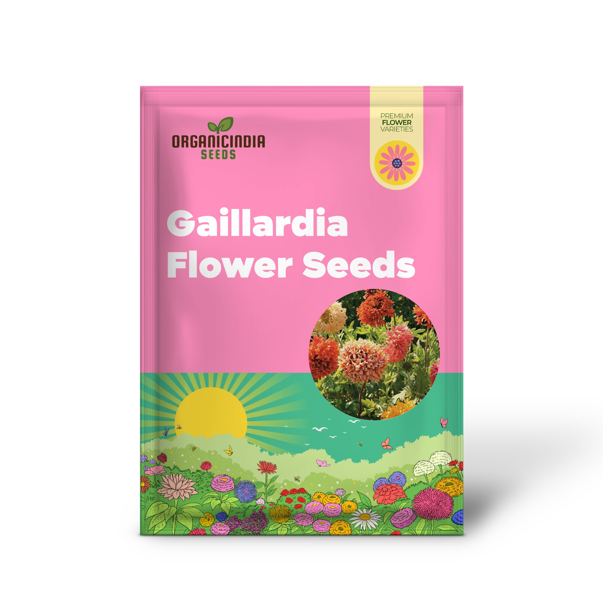 Mixed Gaillardia Seeds for Colorful and Hardy Garden Flowers