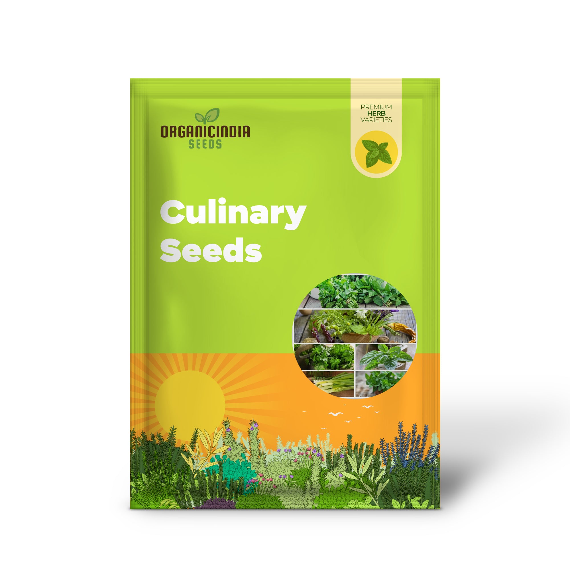 Mixed Herb and Vegetable Seeds Collection for Culinary Gardening