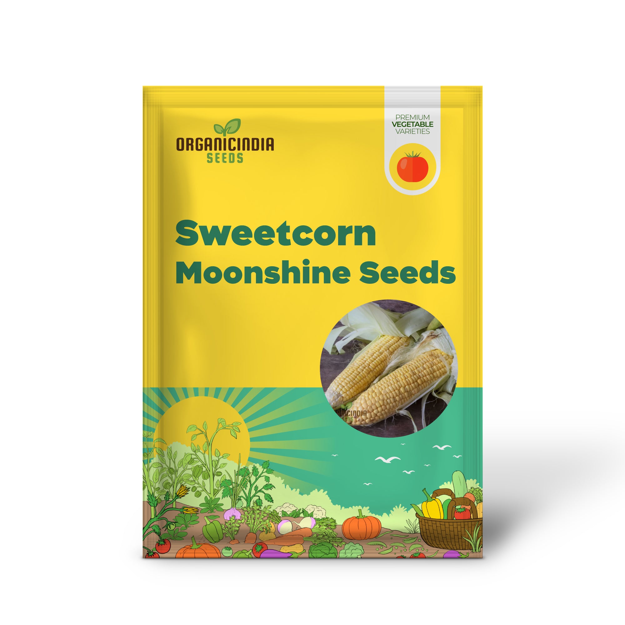 Moonshine Corn Seedlings Growing in Garden, Easy-to-Grow Seeds