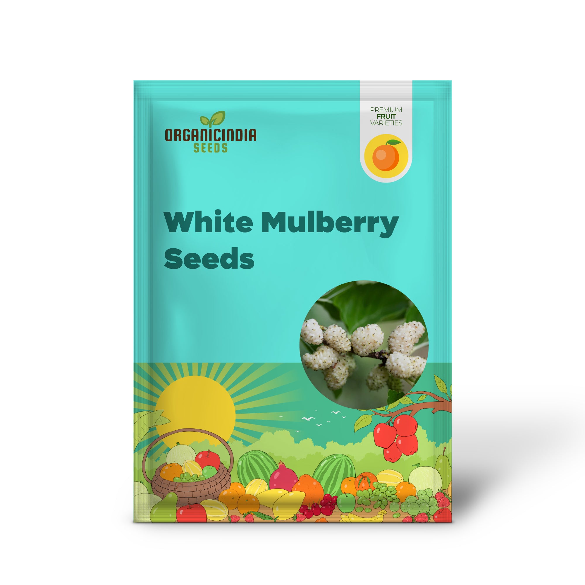 Morus alba tree growing