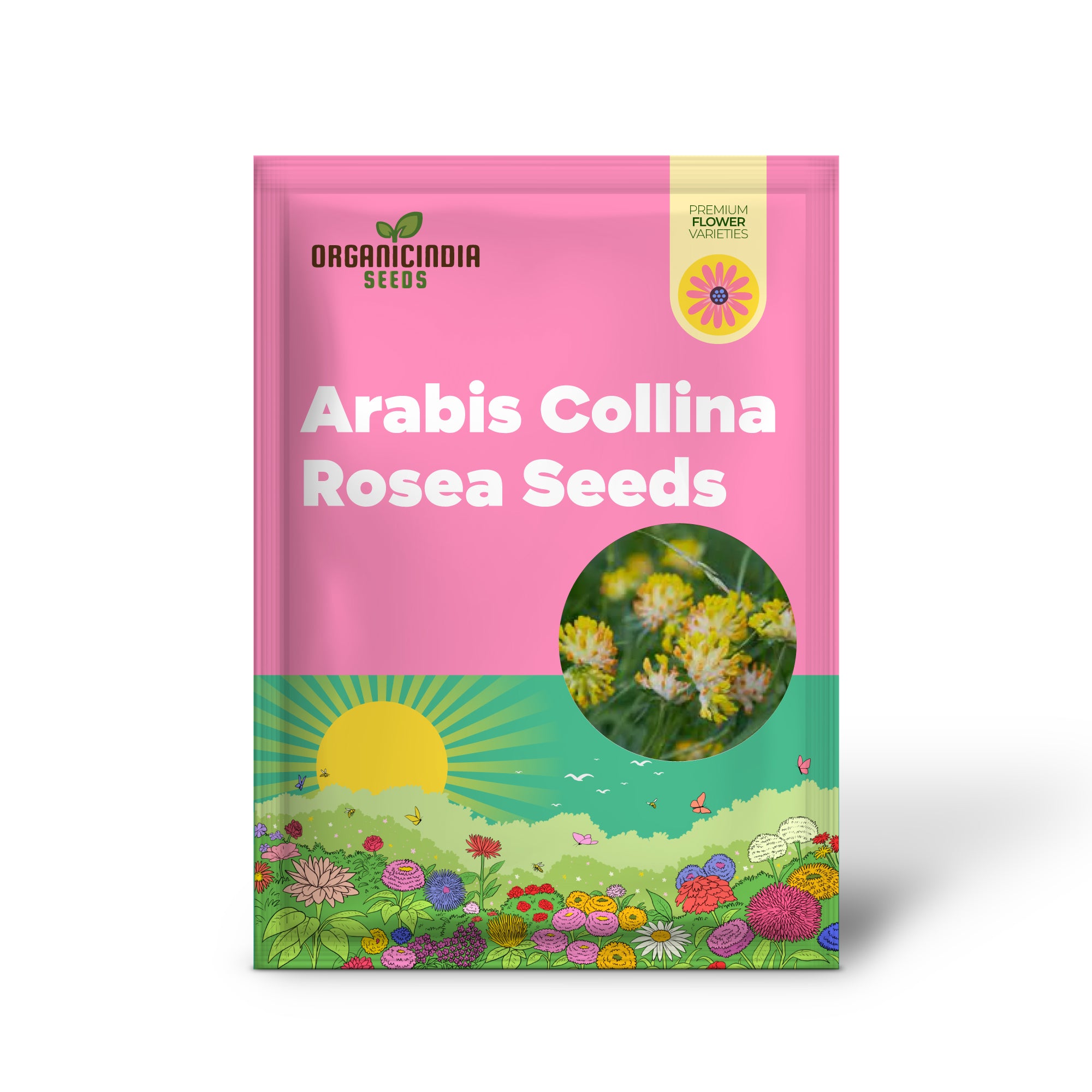 Non-GMO Arabis Rosea Seeds for Low-Maintenance Groundcover