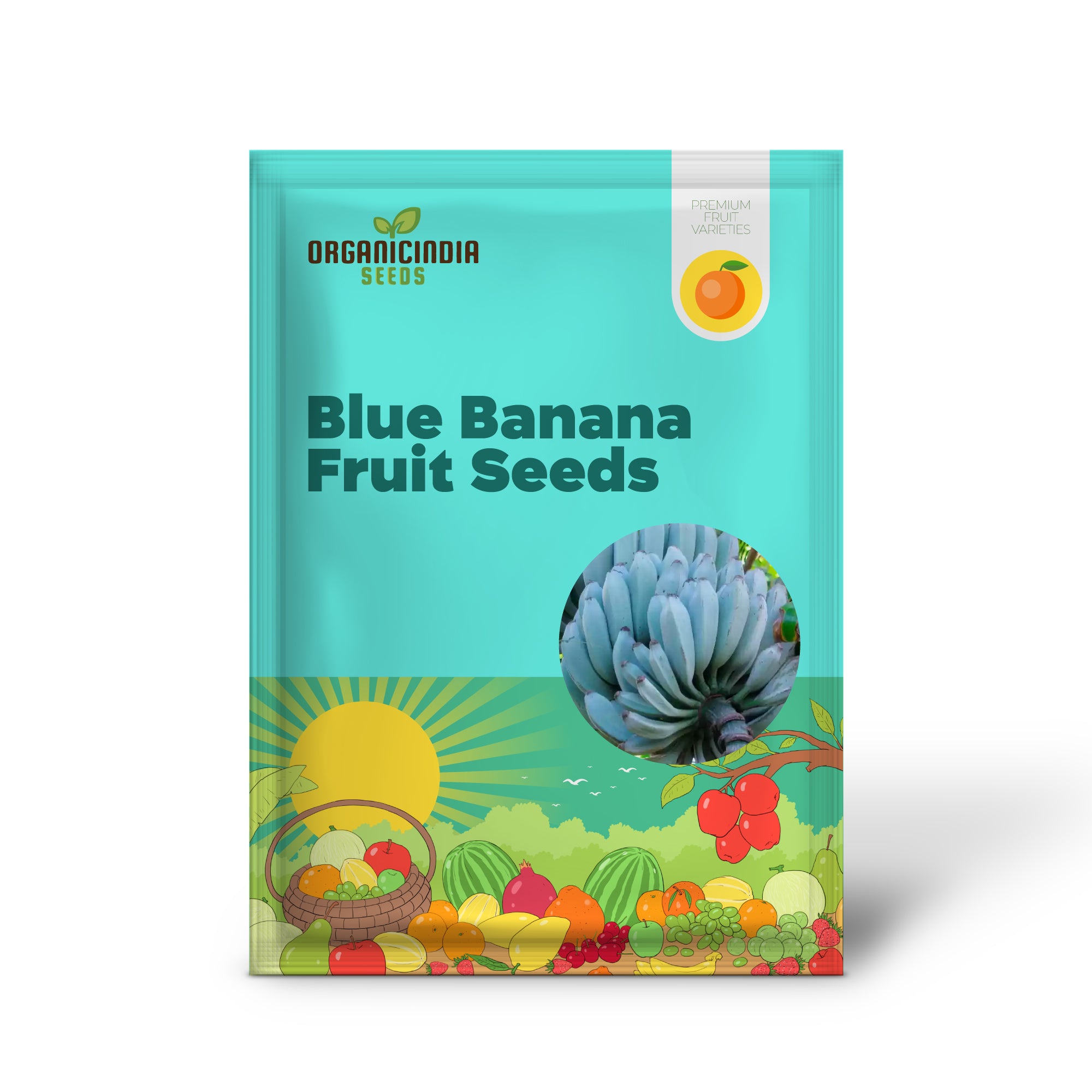 Non-GMO Blue Banana seeds for growing rare tropical fruits