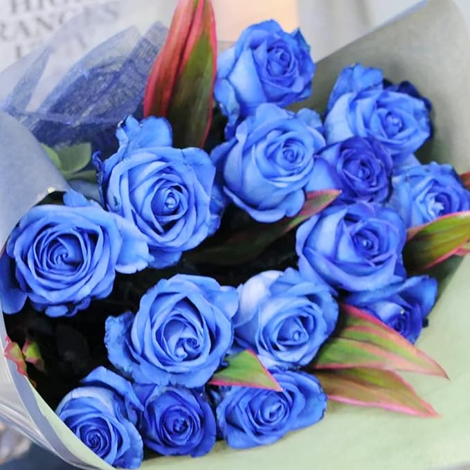 Non-GMO blue rose seeds