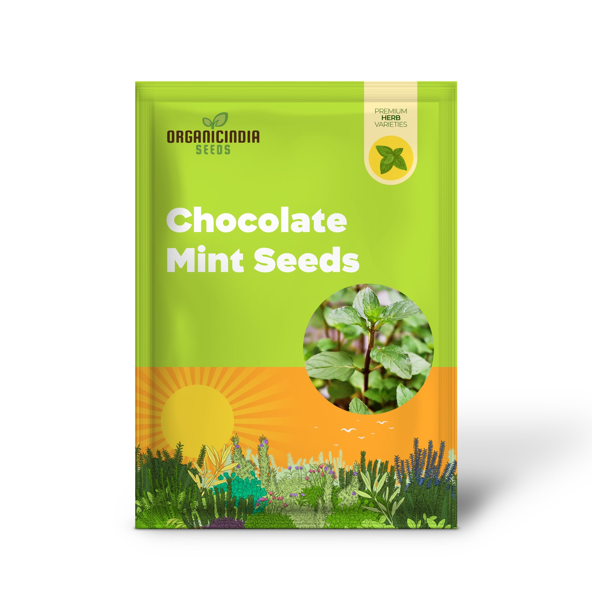 Non-GMO Chocolate Mint Seeds for Natural Gardening