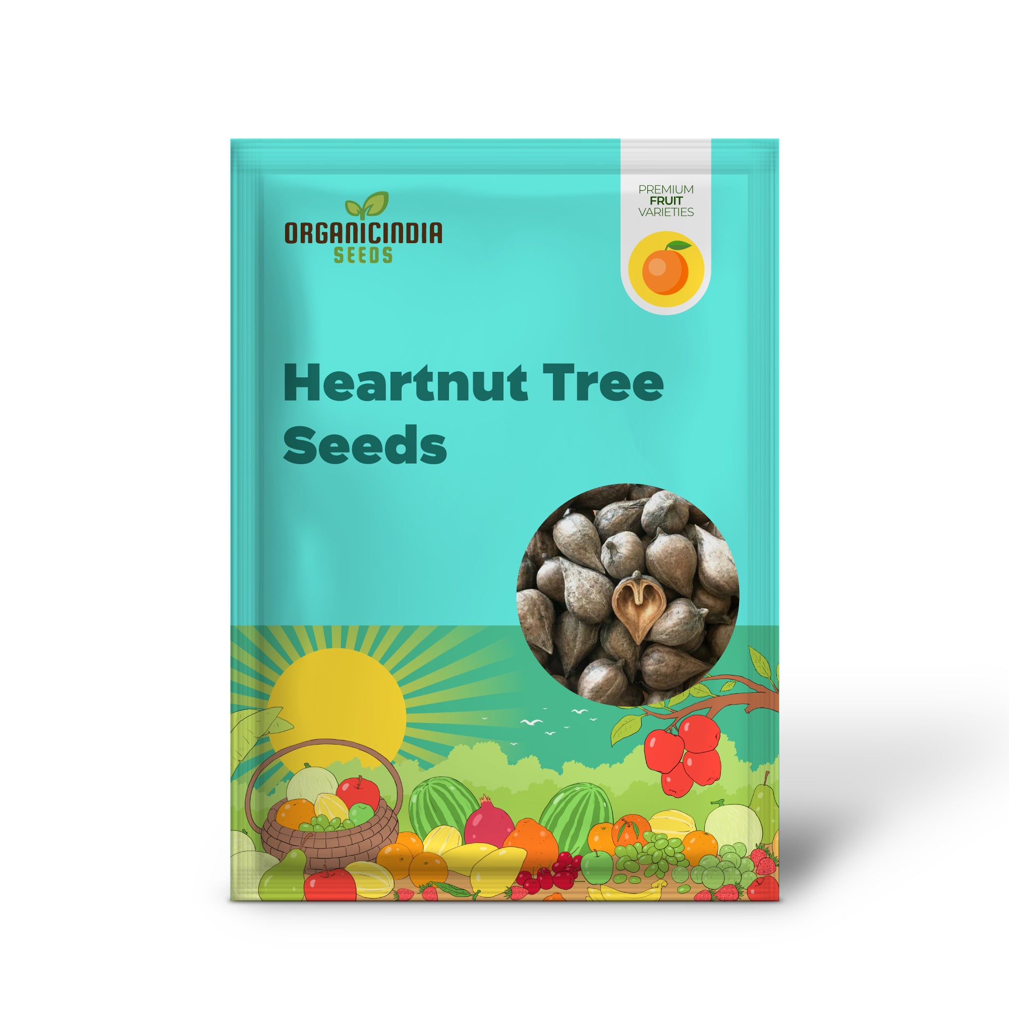 Non-GMO Heartnut Tree seeds for growing Japanese walnut trees