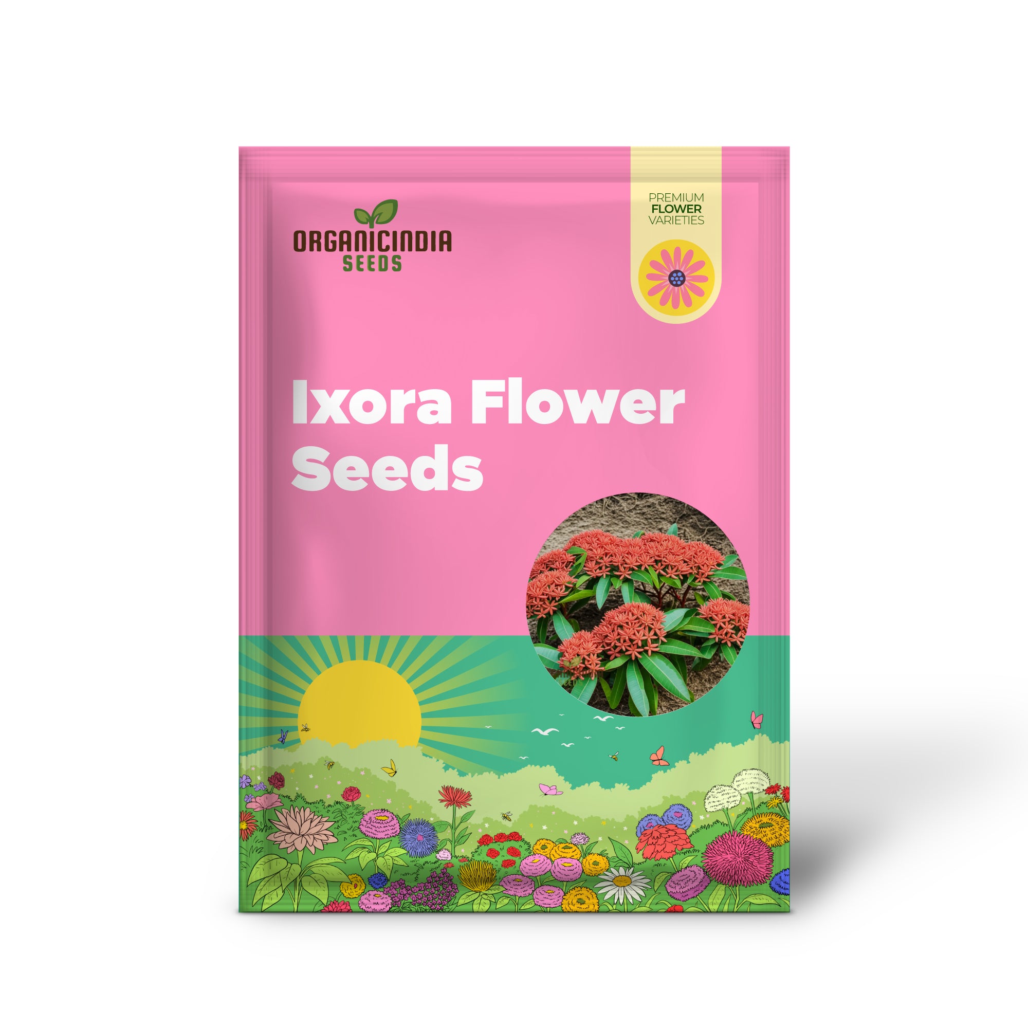 Non-GMO Ixora Seeds for Tropical Home Gardens