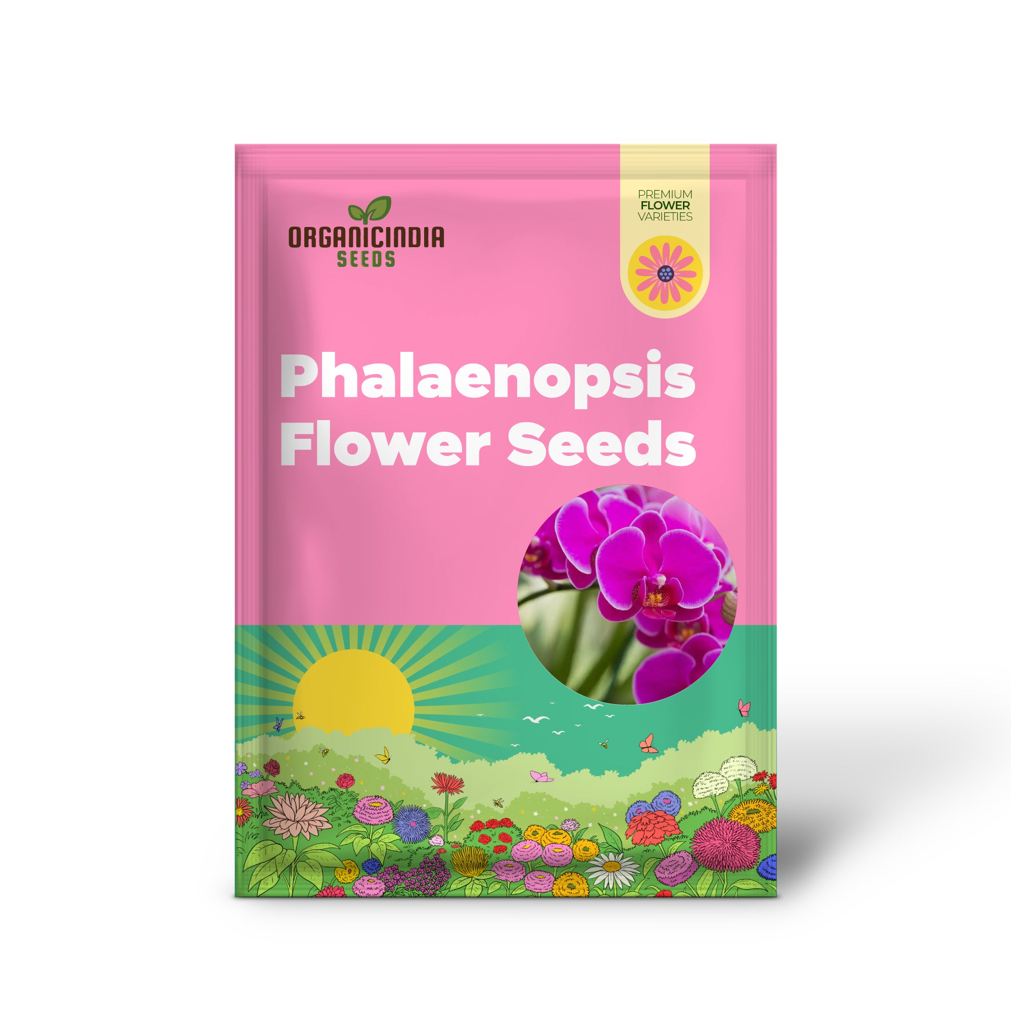 Non-GMO orchid seeds for decorative flowering plants