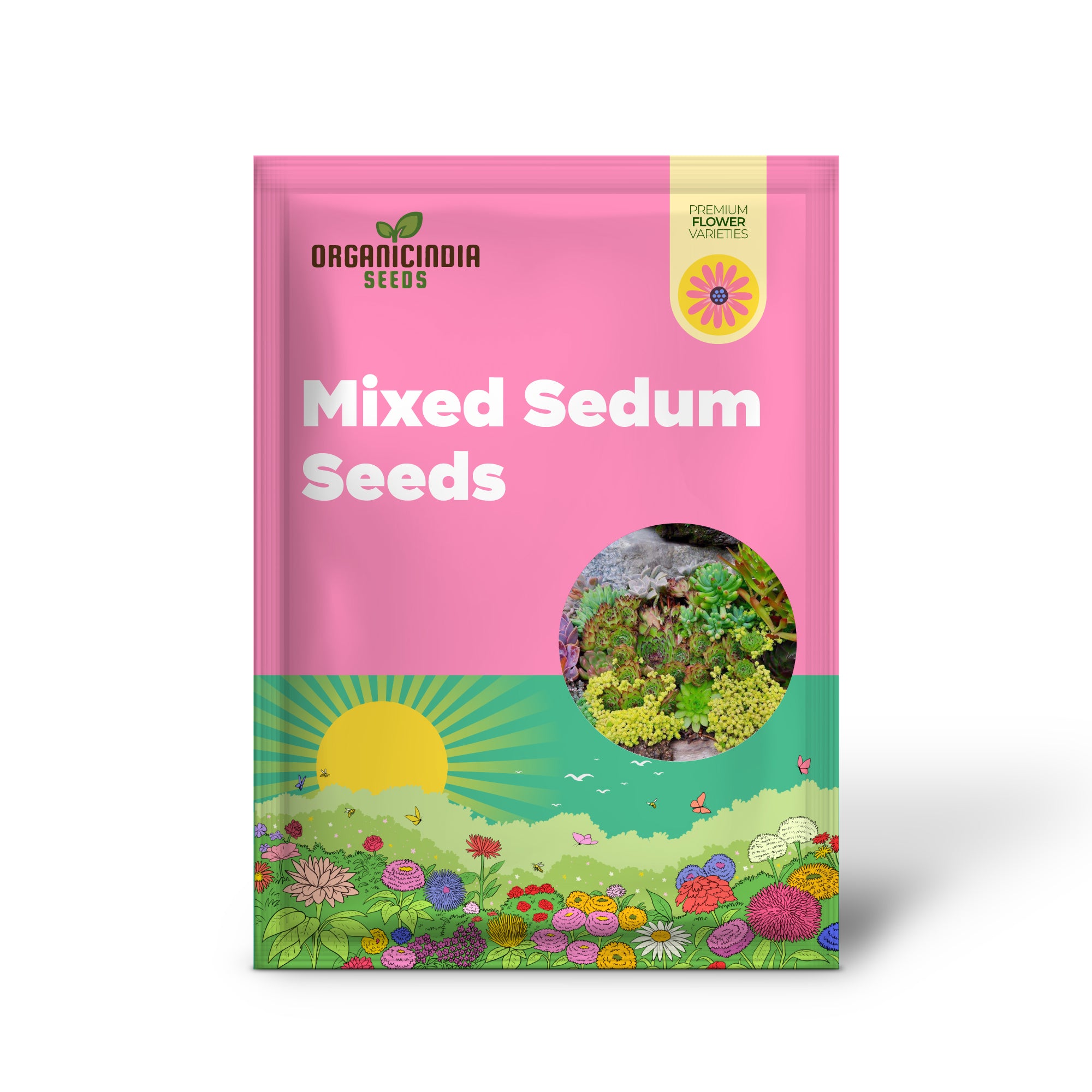 Non-GMO Sedum seeds drought-tolerant succulents