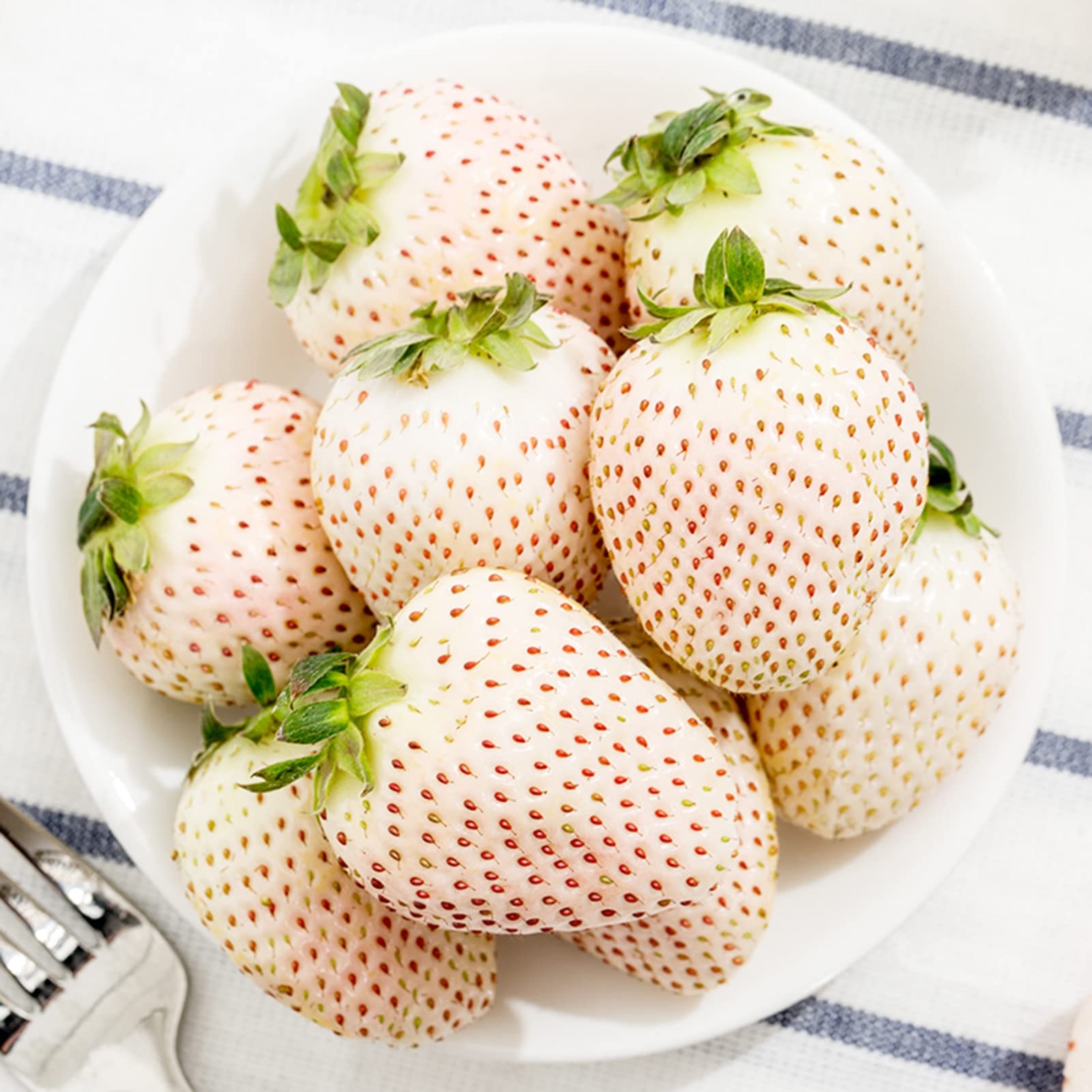 Non-GMO White Soul strawberry seeds for home garden planting