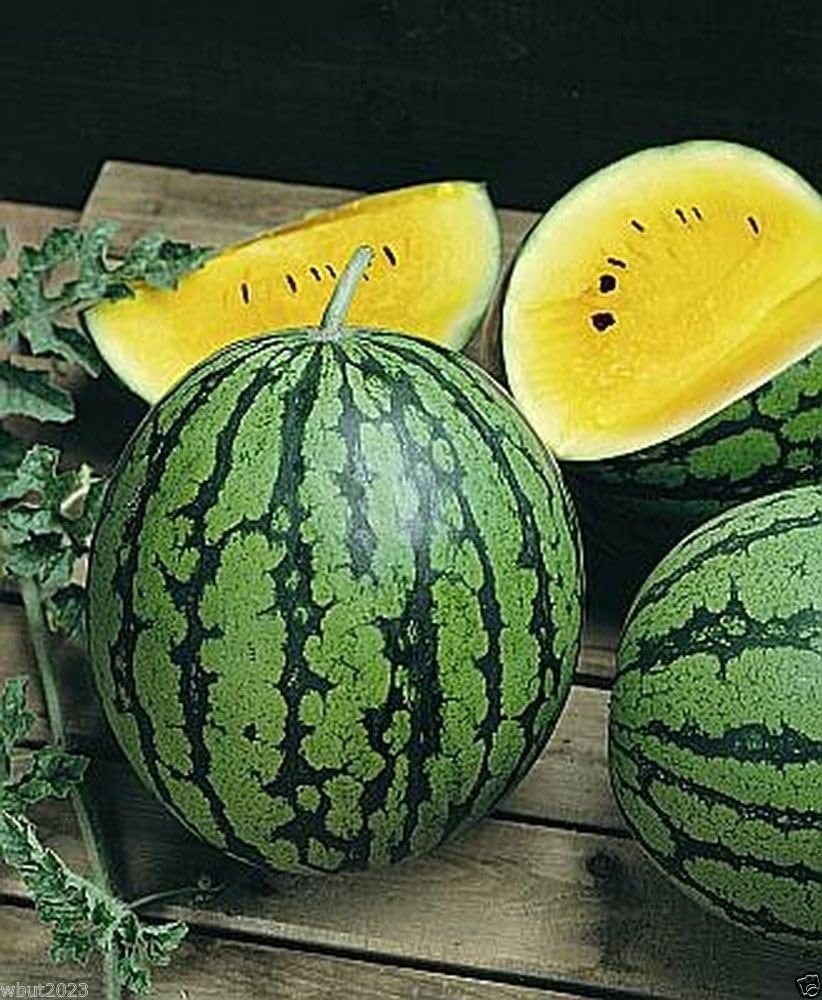 Non-GMO Yellow Watermelon seeds for gardeners