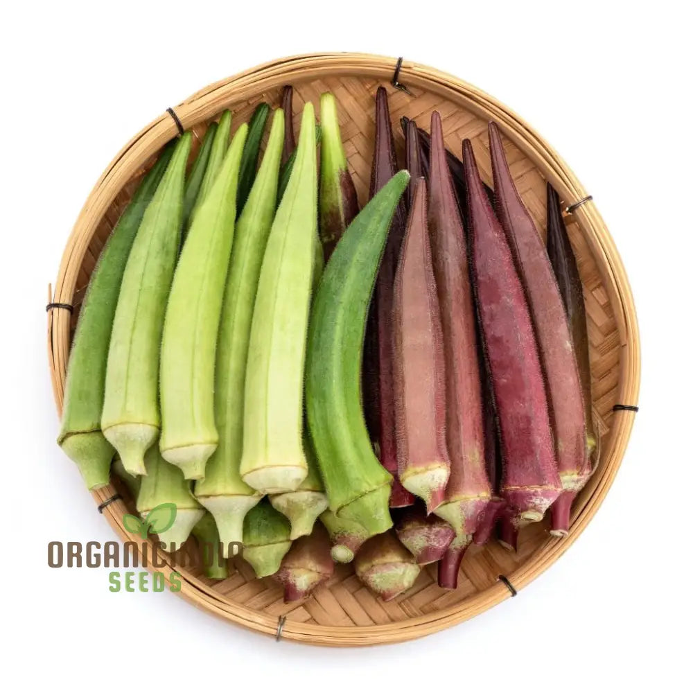 Heirloom Mix Okra Seeds for Planting, Premium Non-GMO Vegetable Seeds