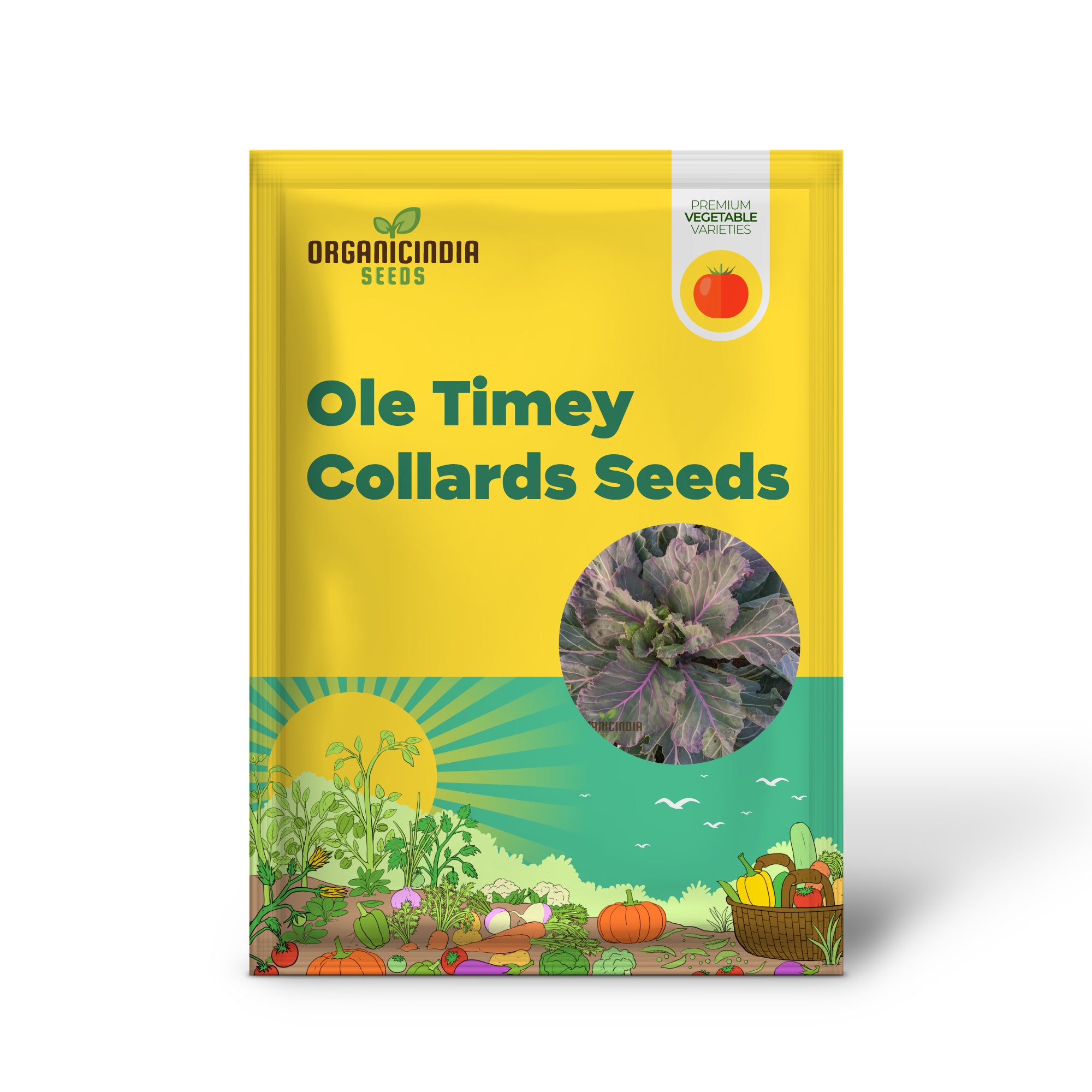 Ole Timey Blue Collard Seedling Growing in Garden, Easy-to-Grow Collard Seeds