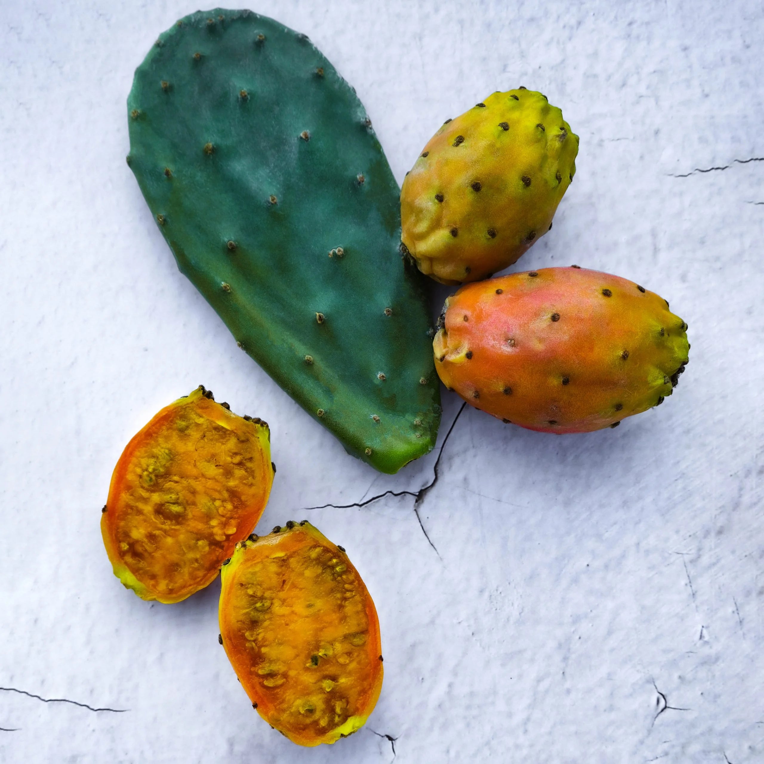 Orange Prickly Pear Cactus Pads Close-Up