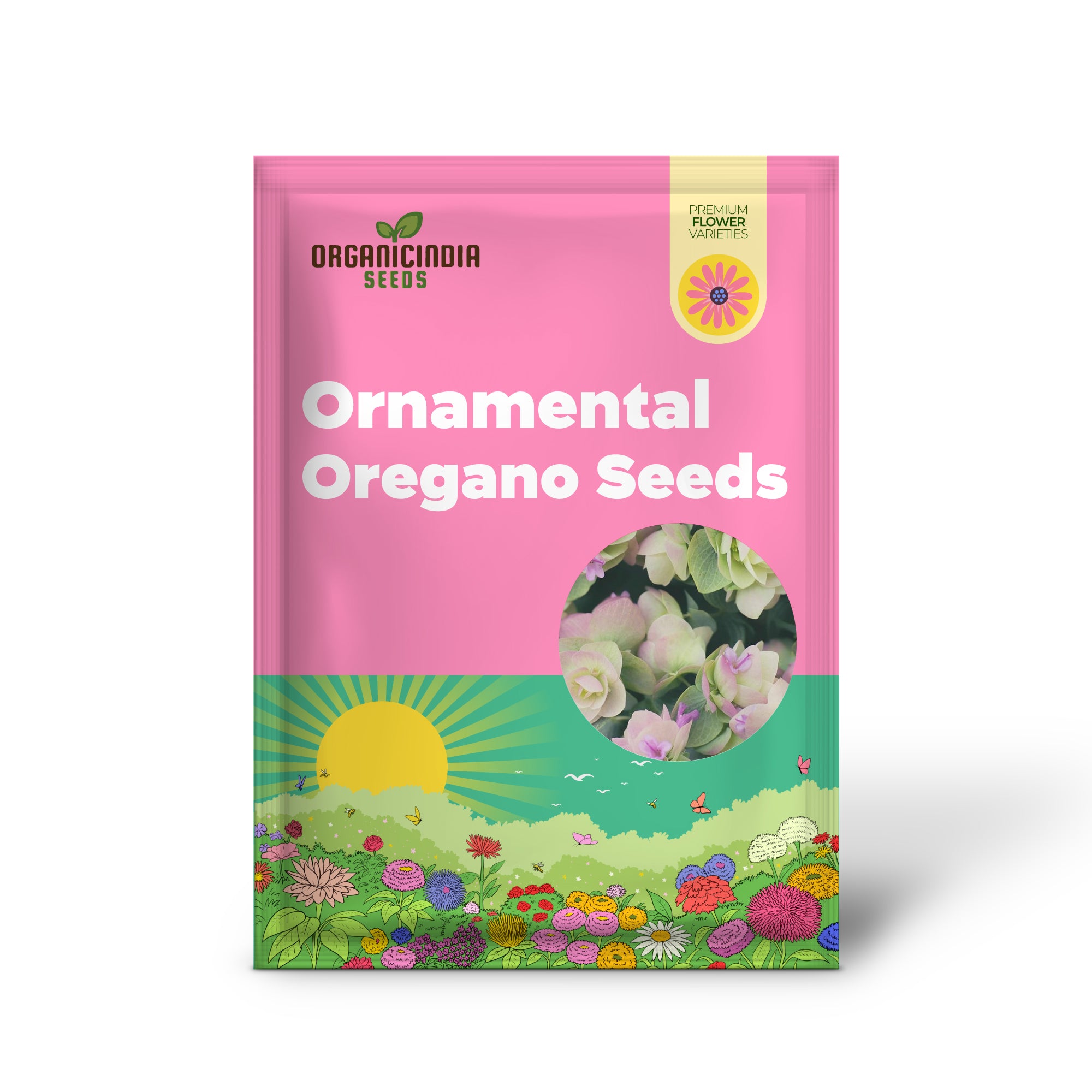 Ornamental oregano perennial seeds for gardens