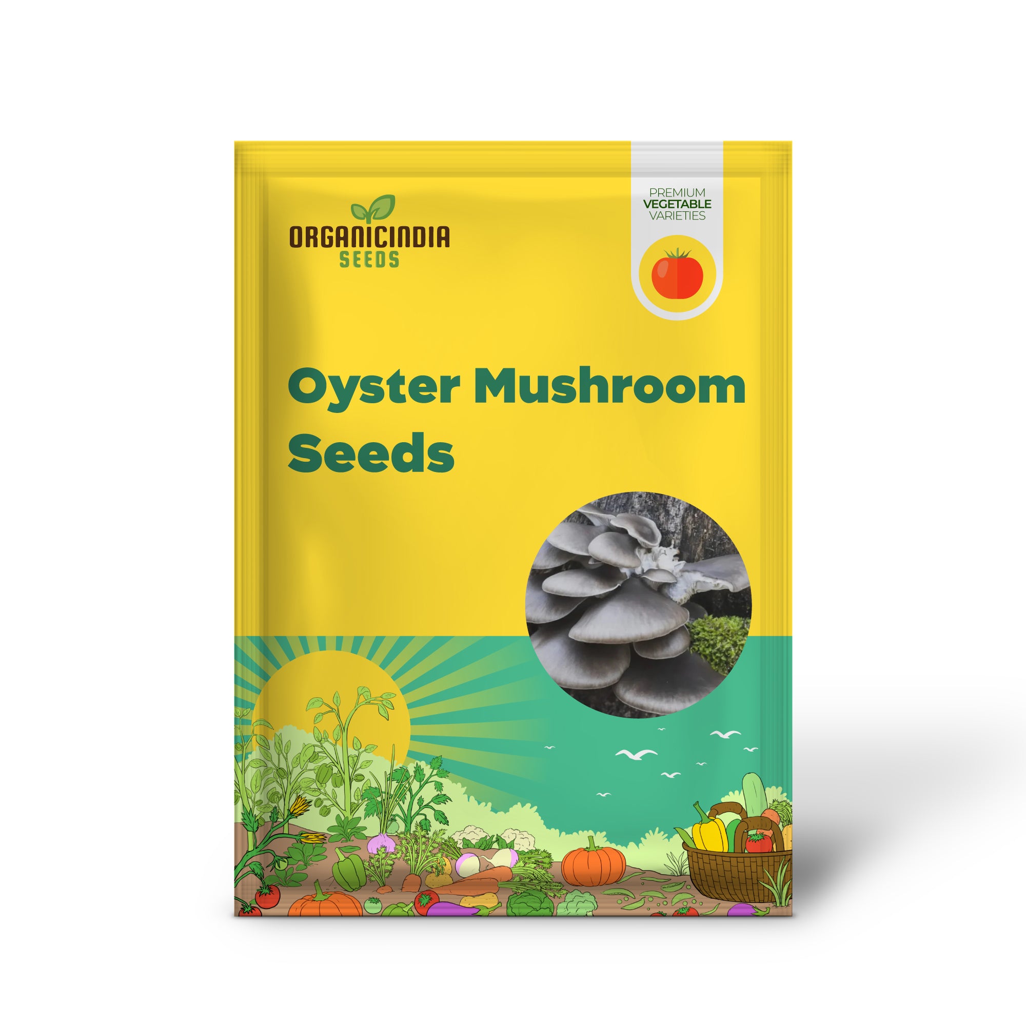 Blue-Grey Oyster Mushroom Seedling from Seeds, Home Garden Mushroom
