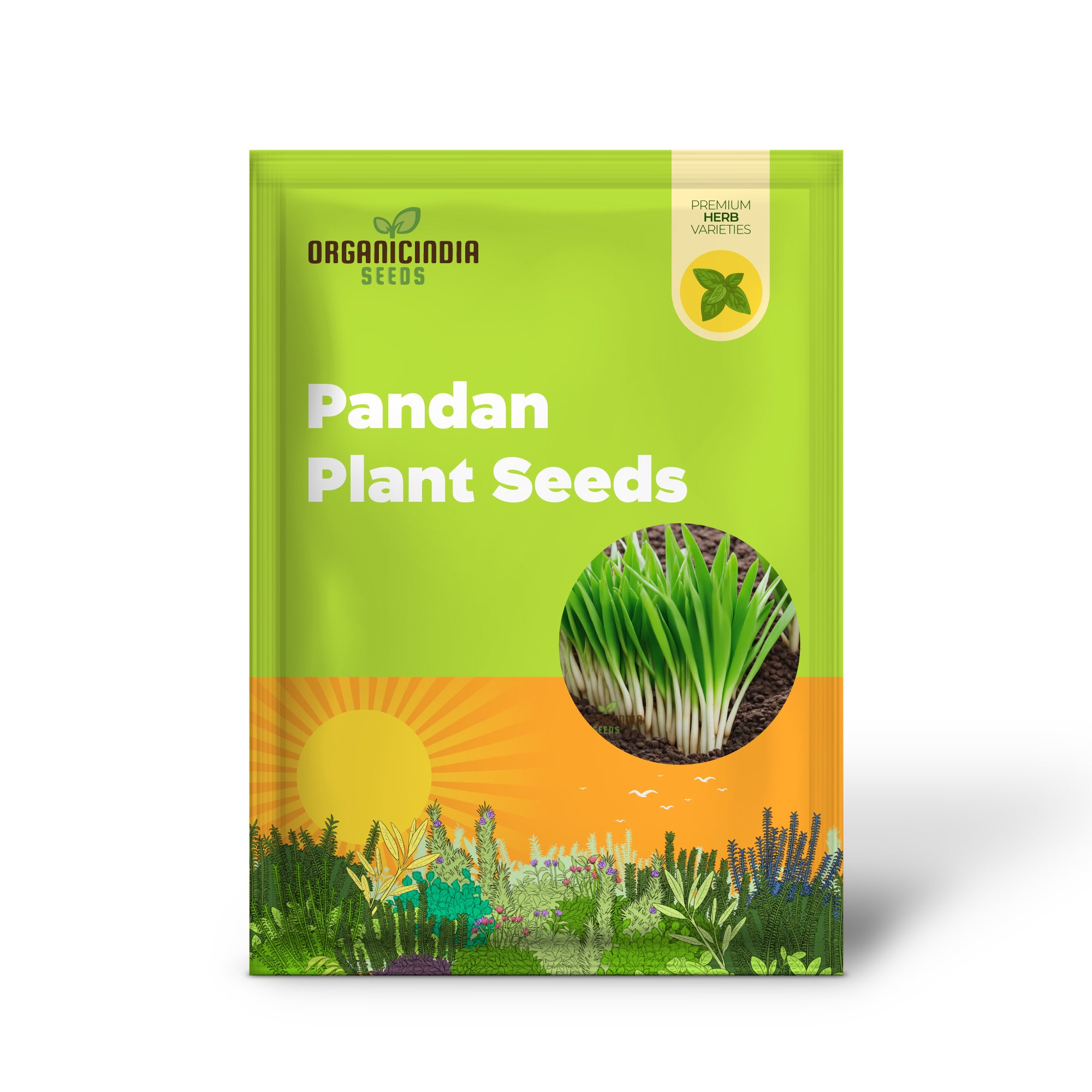 Pandan Seeds for Home Garden and Tropical Planting