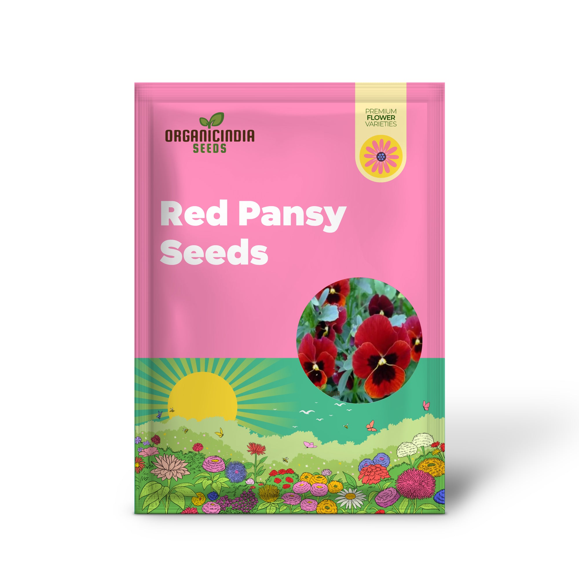 Pansy seeds germination in soil for home garden