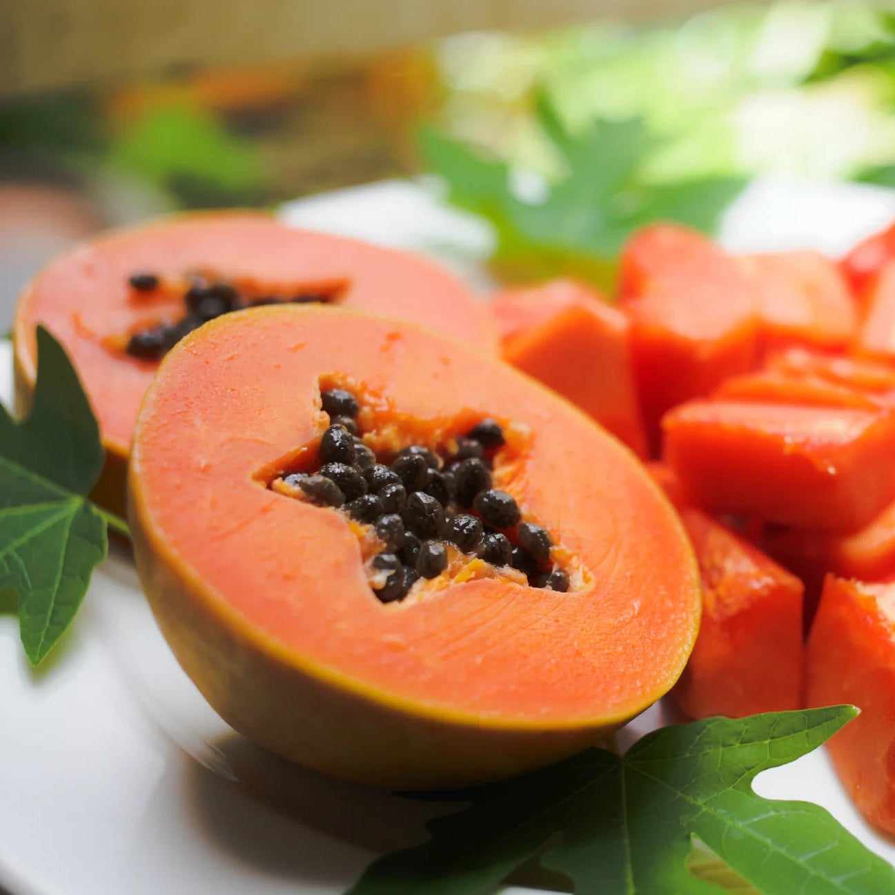 Papaya Melon Seeds – Non-GMO Sweet Tropical Melon Variety