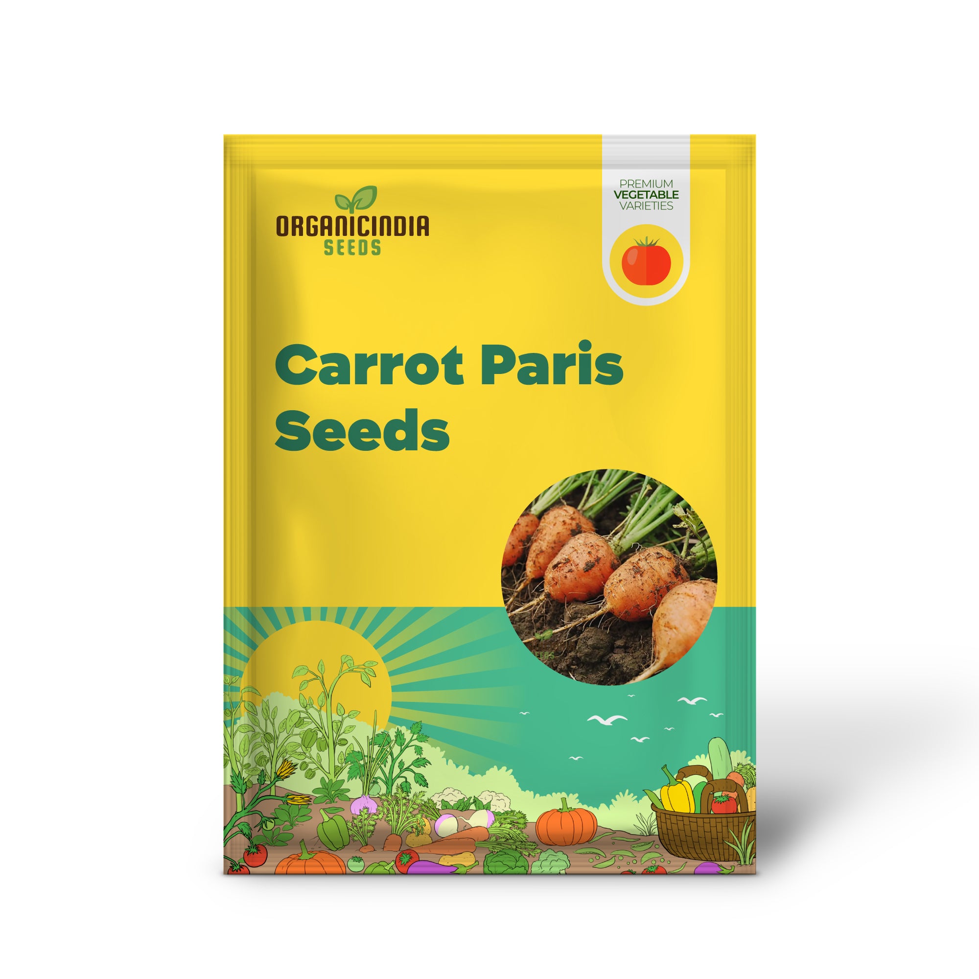 Paris Carrot Seedling Growing in Garden, Easy-to-Grow Carrot Seeds