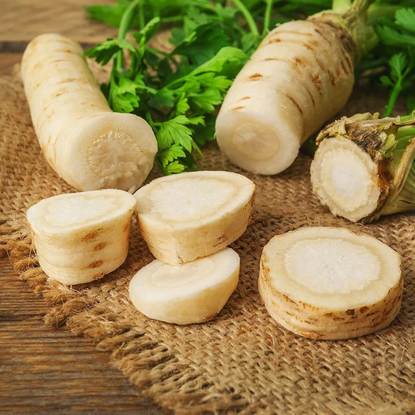 Fresh Hamburg Parsley Leaves from Seeds, Heirloom Culinary Herb
