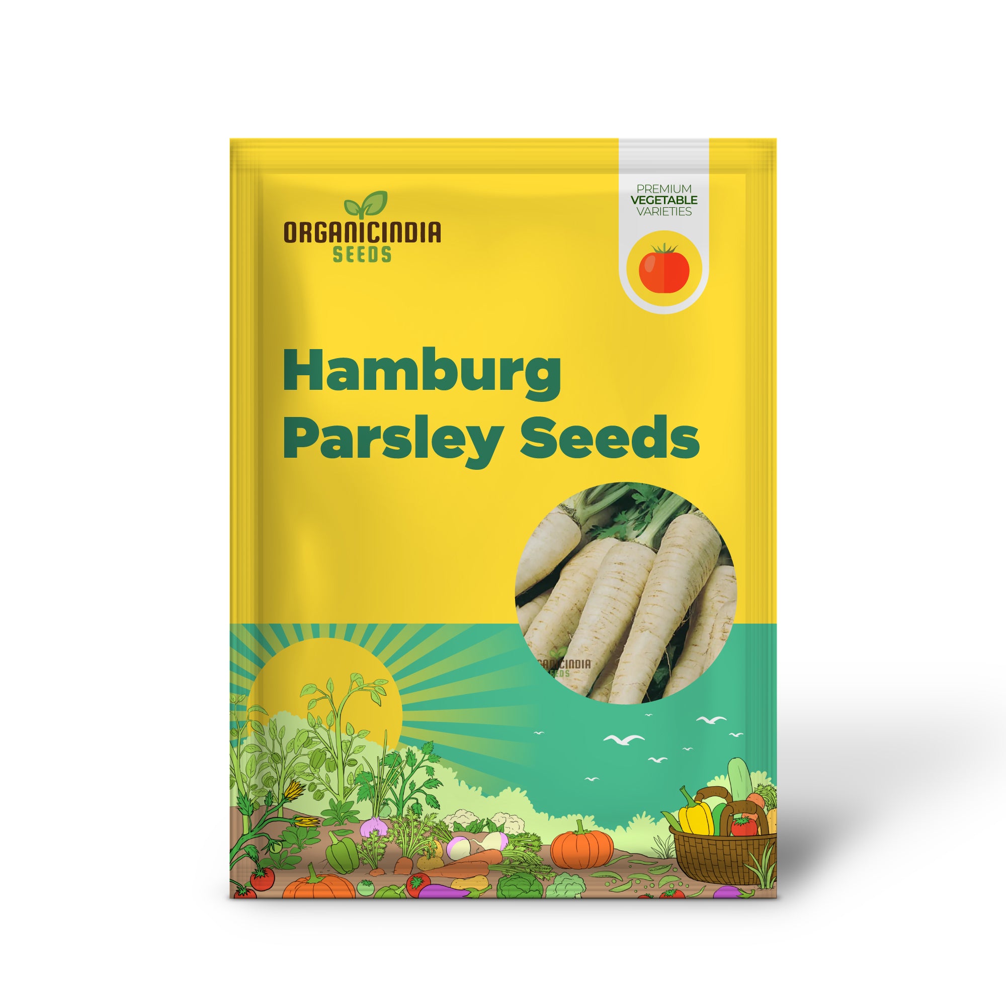 Hamburg Parsley Seedling Growing from Seeds, Easy-to-Grow Herb Plant