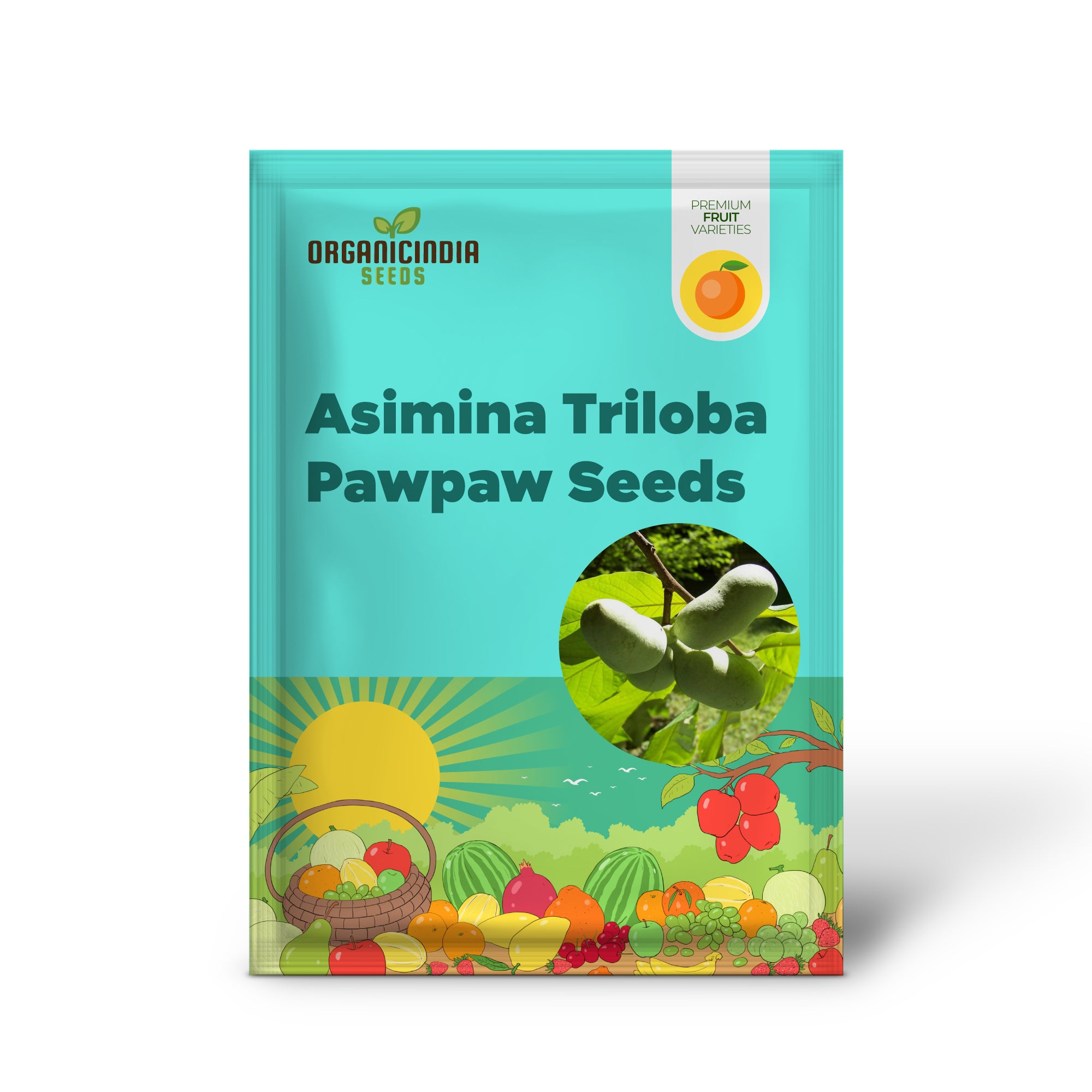 Pawpaw Tree Seeds for Home and Native Gardening