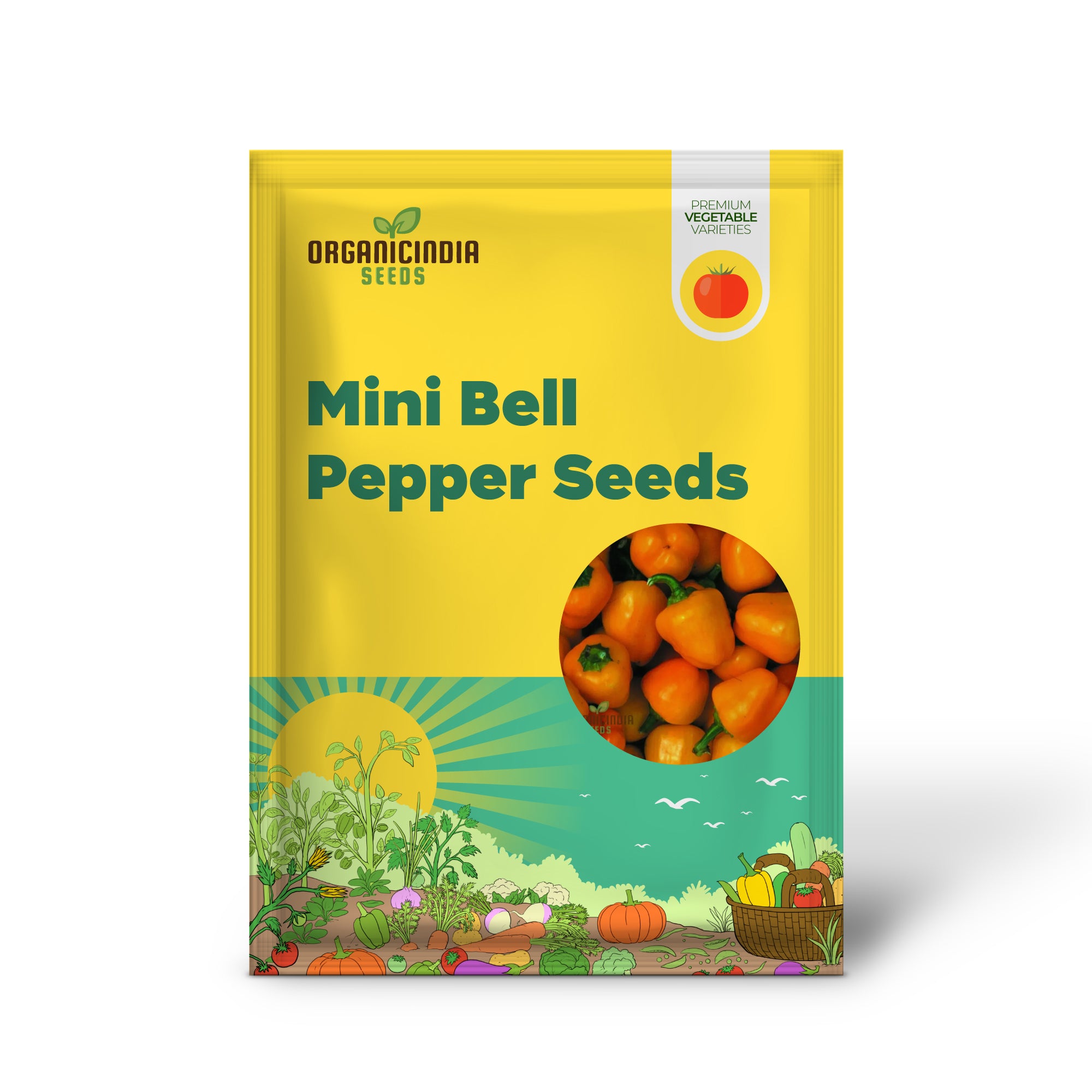 Mini Bell Orange Pepper Seedlings Growing in Garden, Quick-Growing Seeds