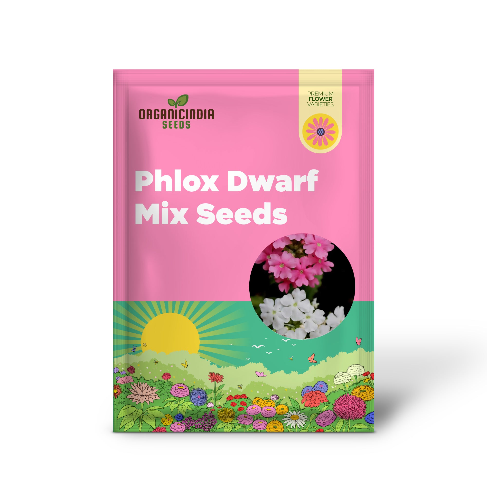 Phlox seeds germination in seed tray for garden planting