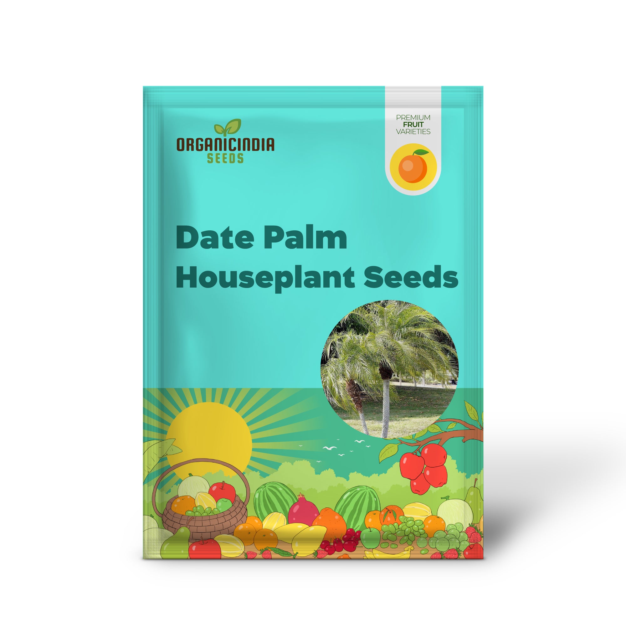 Phoenix roebelenii Seeds – Grow Compact Indoor Palm Plant