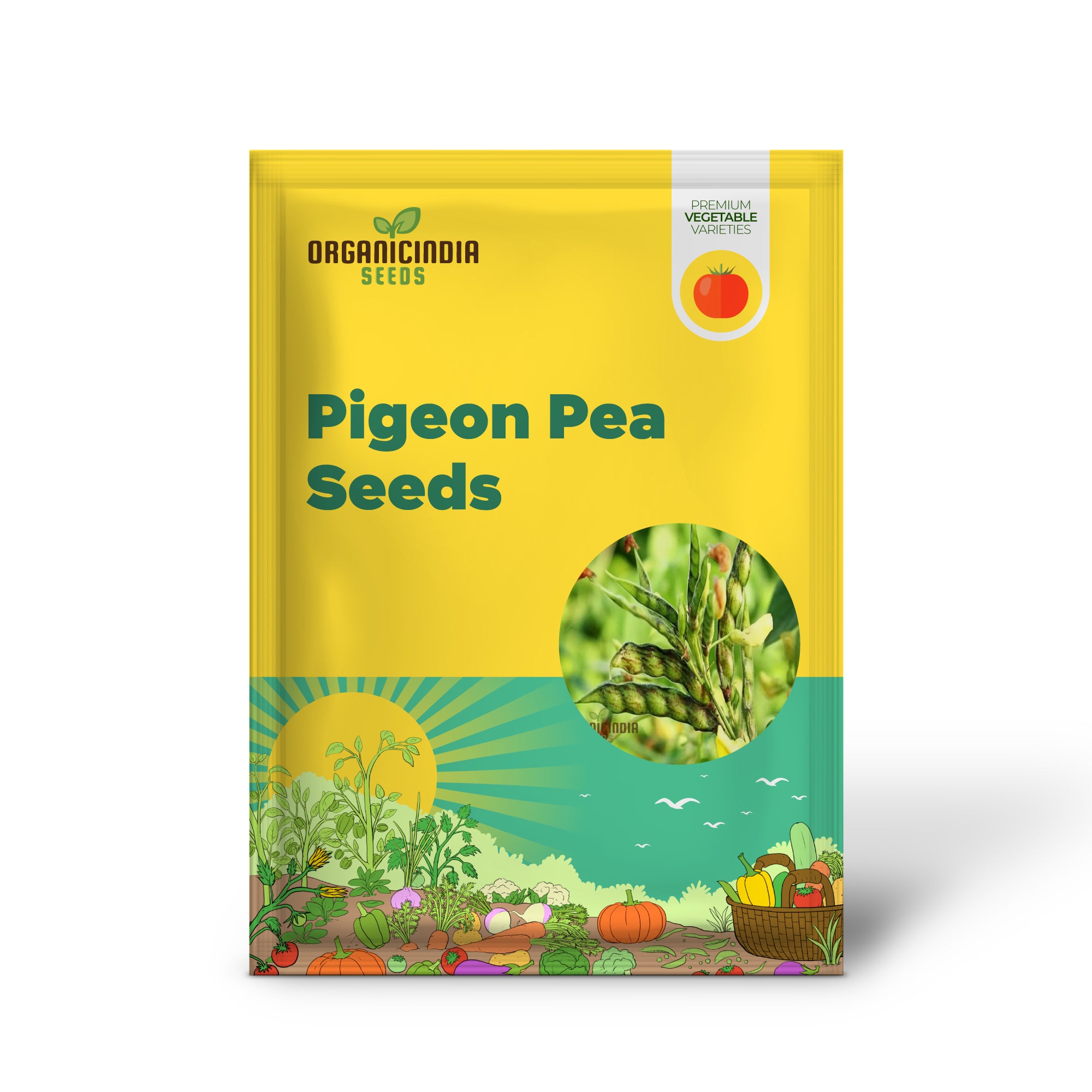 Pigeon Pea Seedling for Home Garden, Easy-to-Grow Legume Seeds