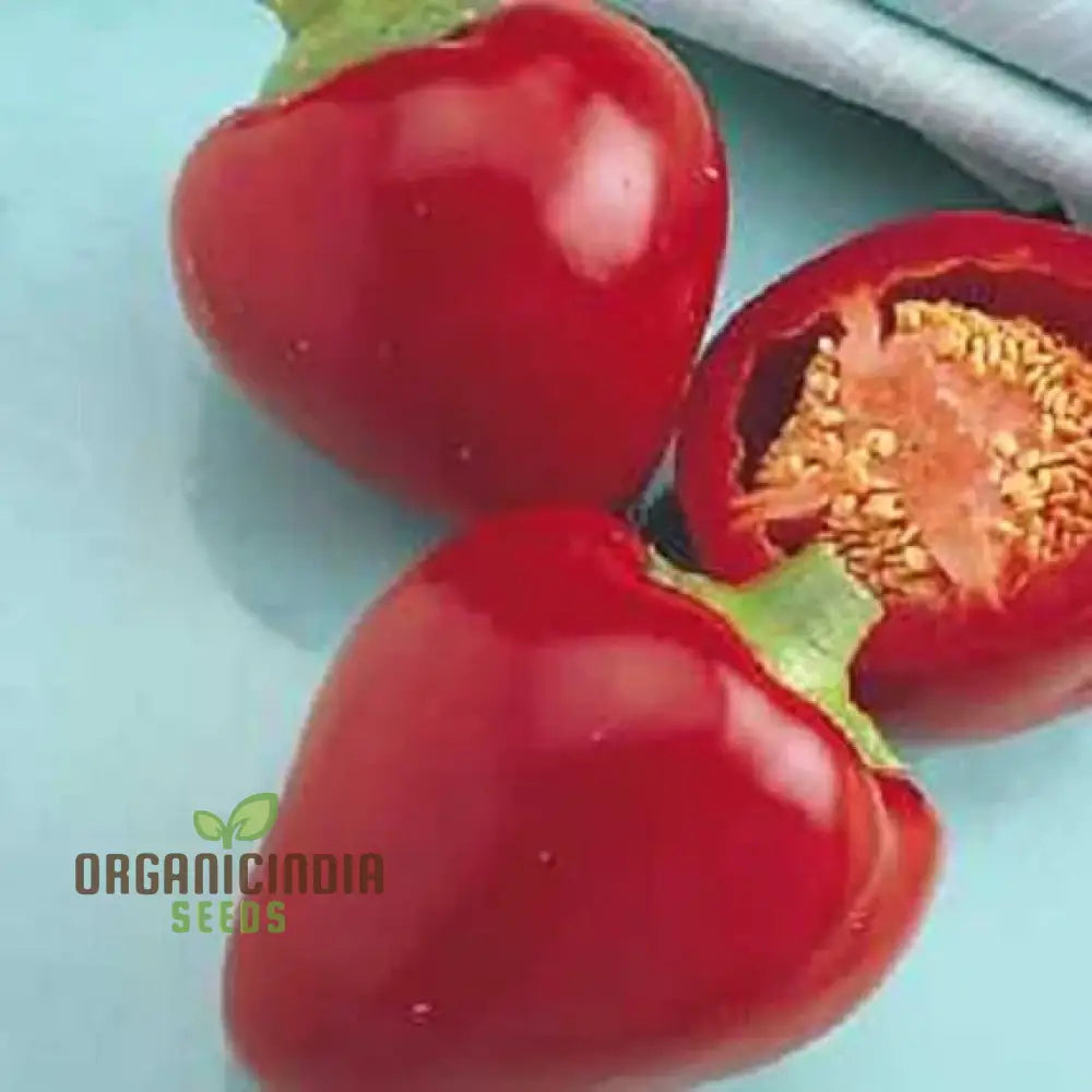 Pimento Sweet Pepper Plant from Seeds, Home Garden Variety