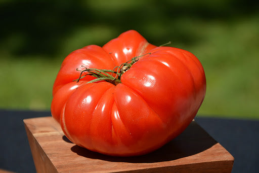 Premium German Johnson Tomato Seeds – Ideal for Sauces & Sandwiches