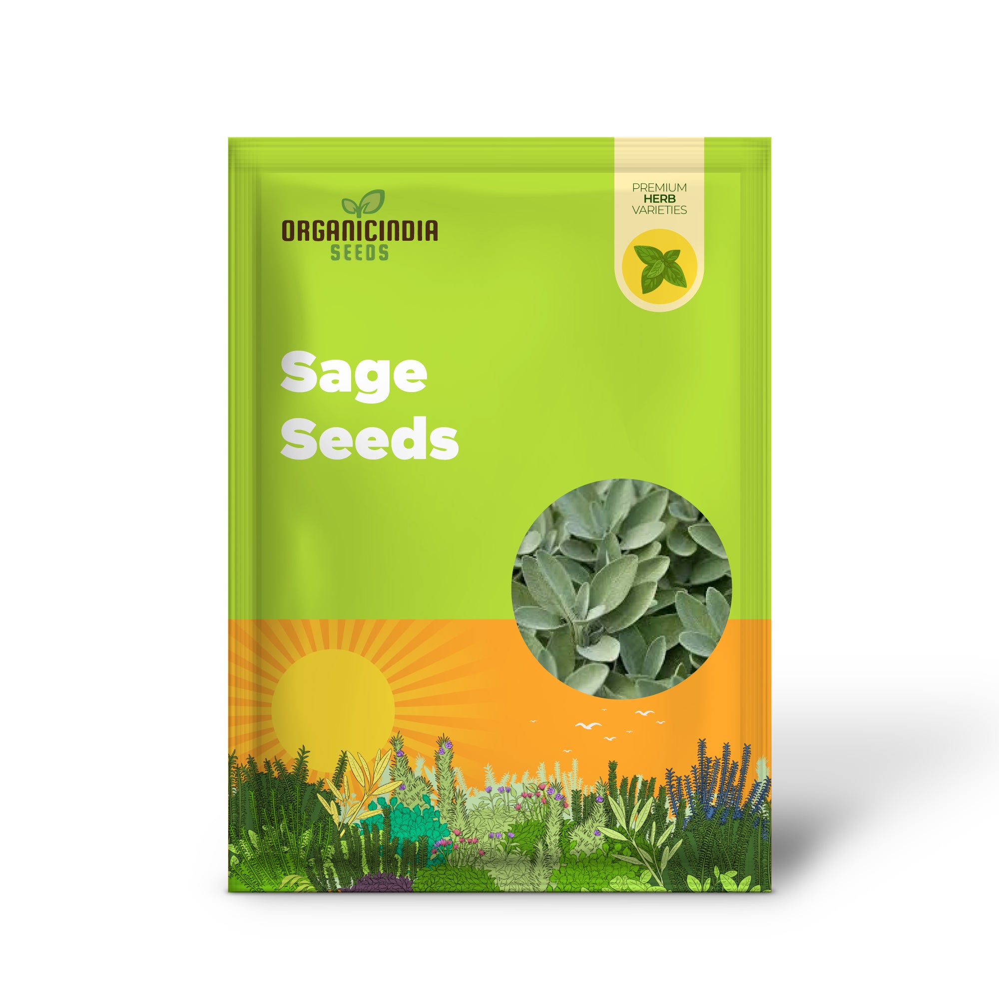 Premium Quality Sage Seeds for Culinary and Herbal Gardens