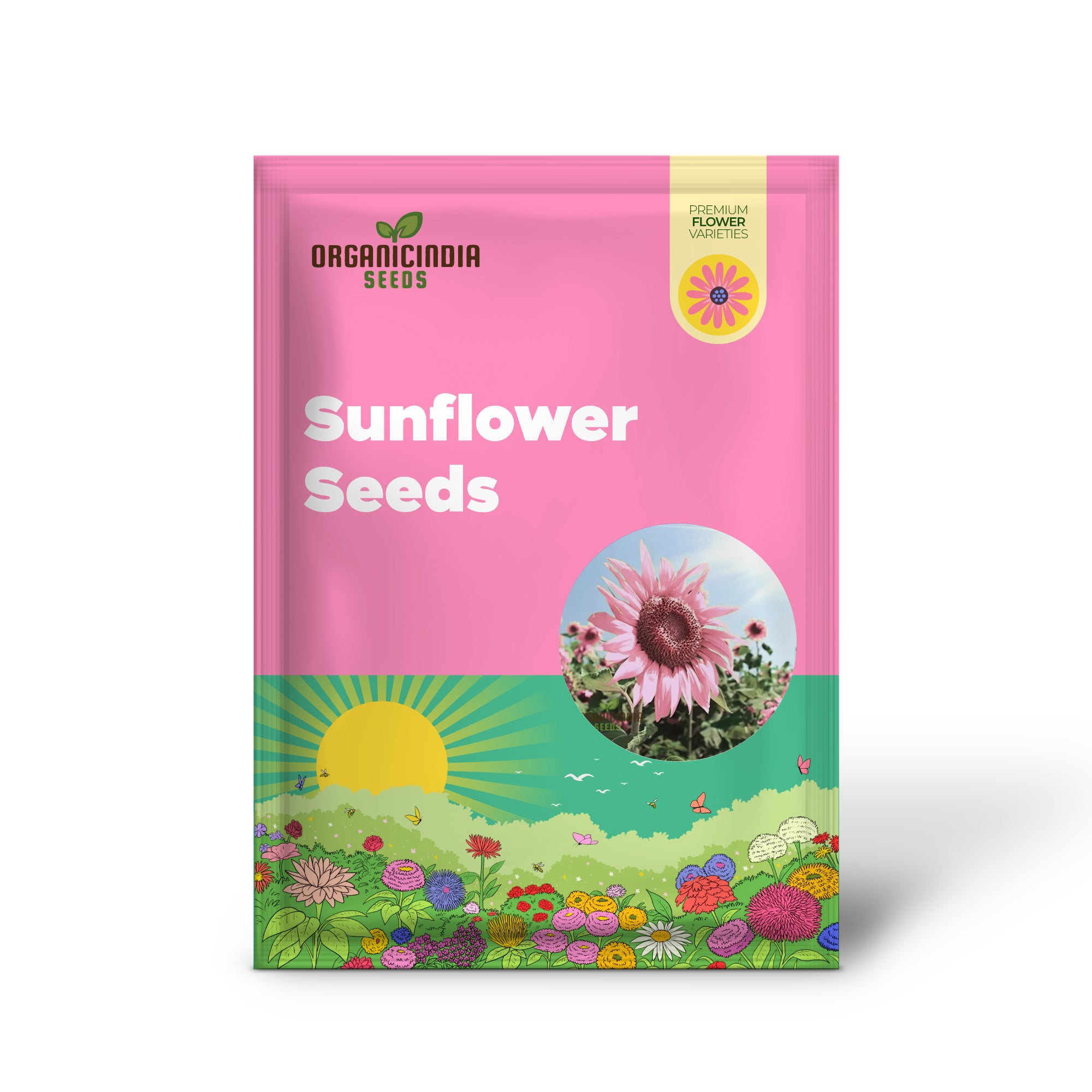 Premium Pink Sunflower Seeds for Vibrant Garden Blooms