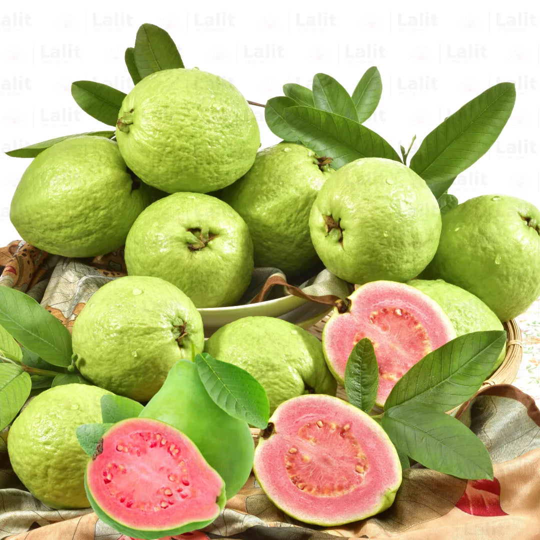 Psidium guajava Seeds for Home Gardens and Patios