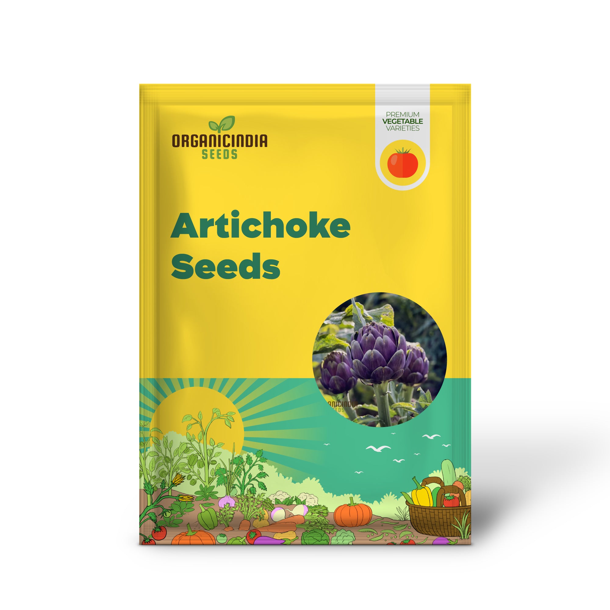 Purple Artichoke Plant from Seeds, Heirloom Edible Variety
