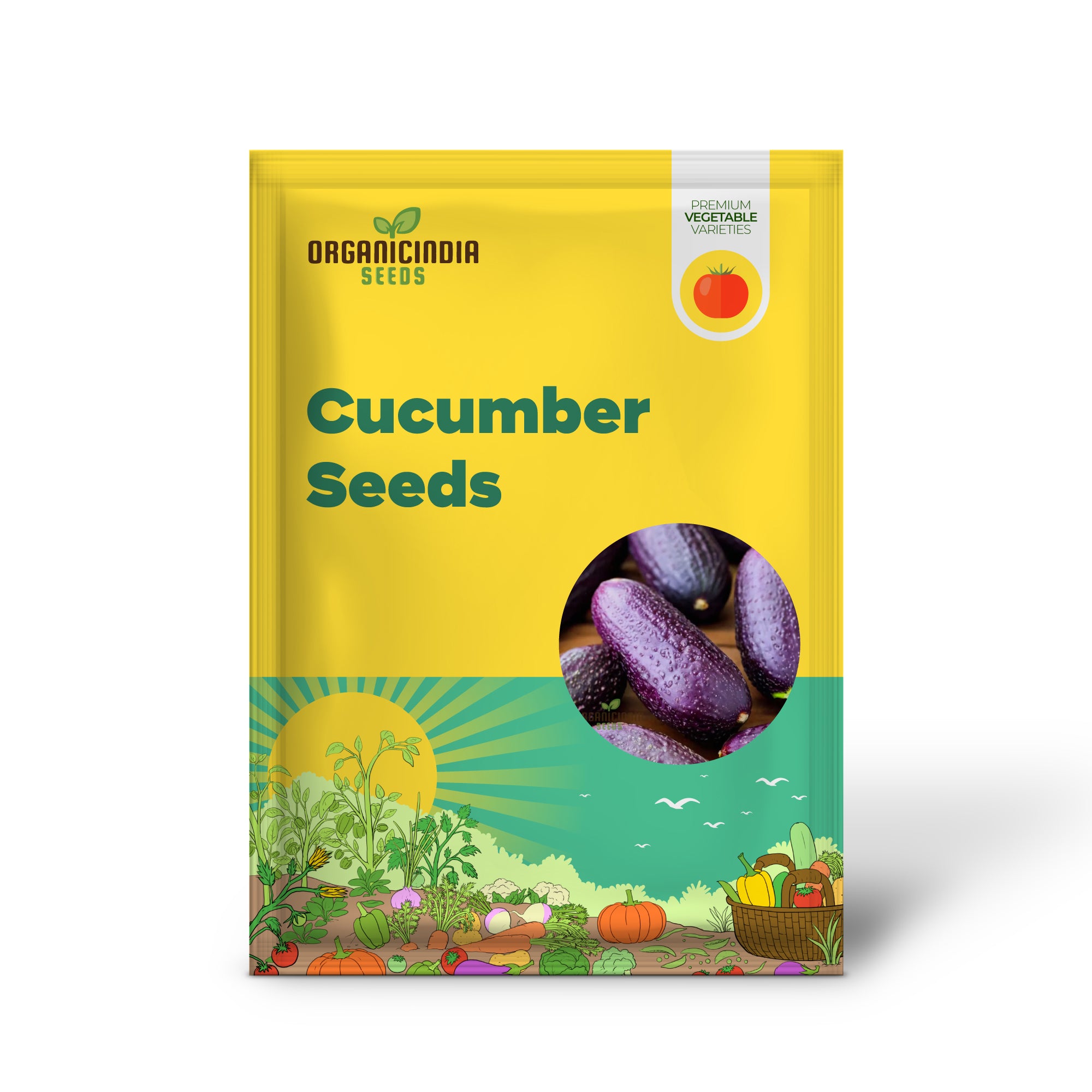 Purple Cucumber Seedling, Easy-to-Grow Non-GMO Vegetable Seeds